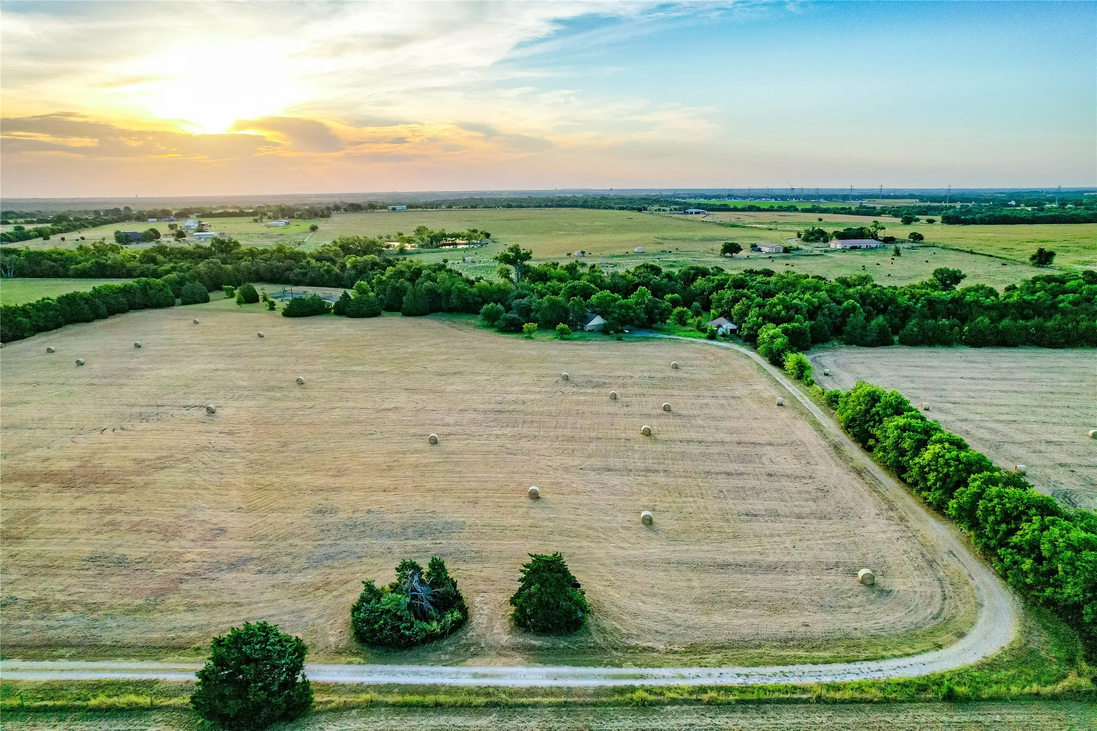 Expansive agricultural land featuring a winding dirt road, scattered hay bales, mature trees, and distant structures
