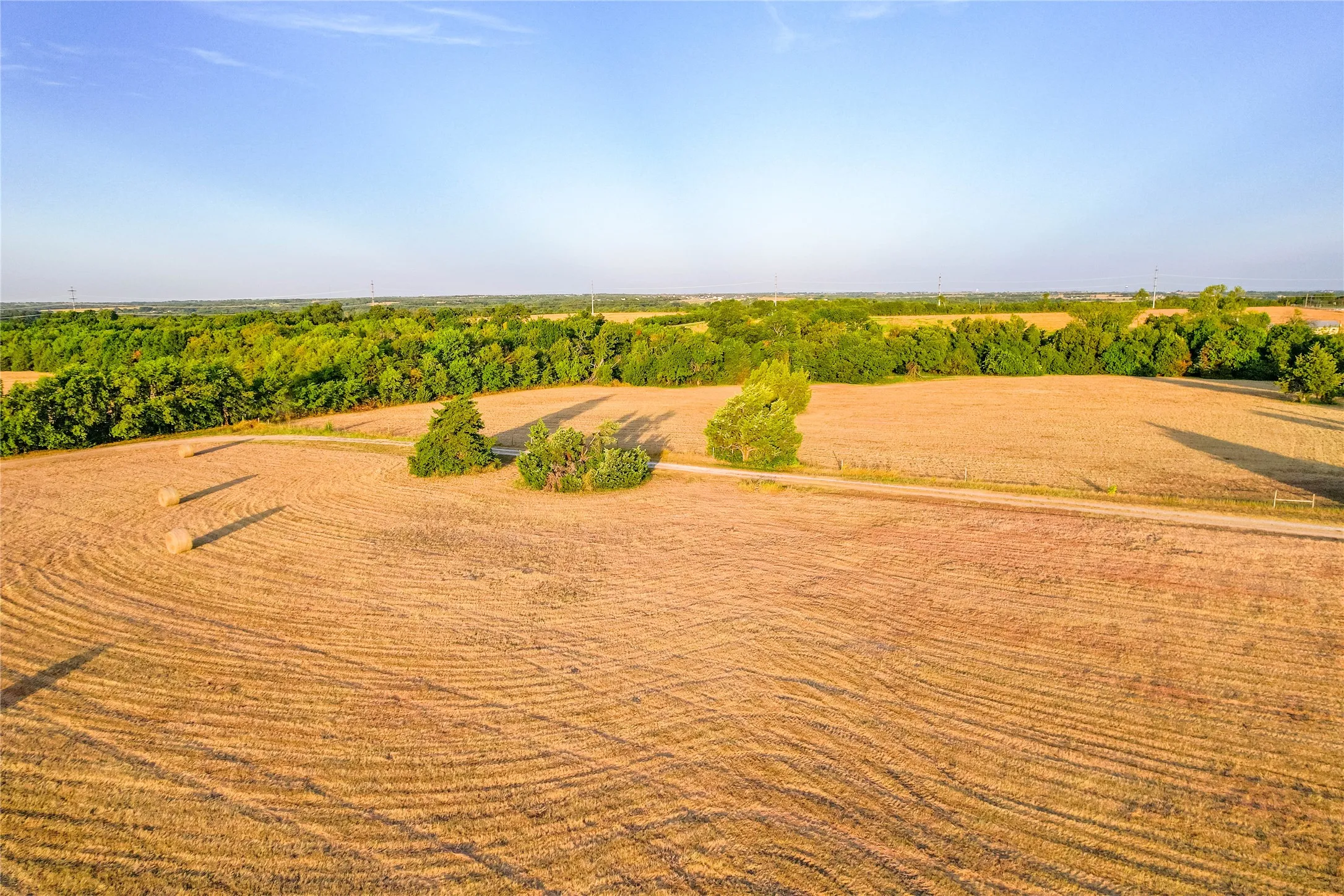 Expansive open field with scattered trees and a tree line along the perimeter