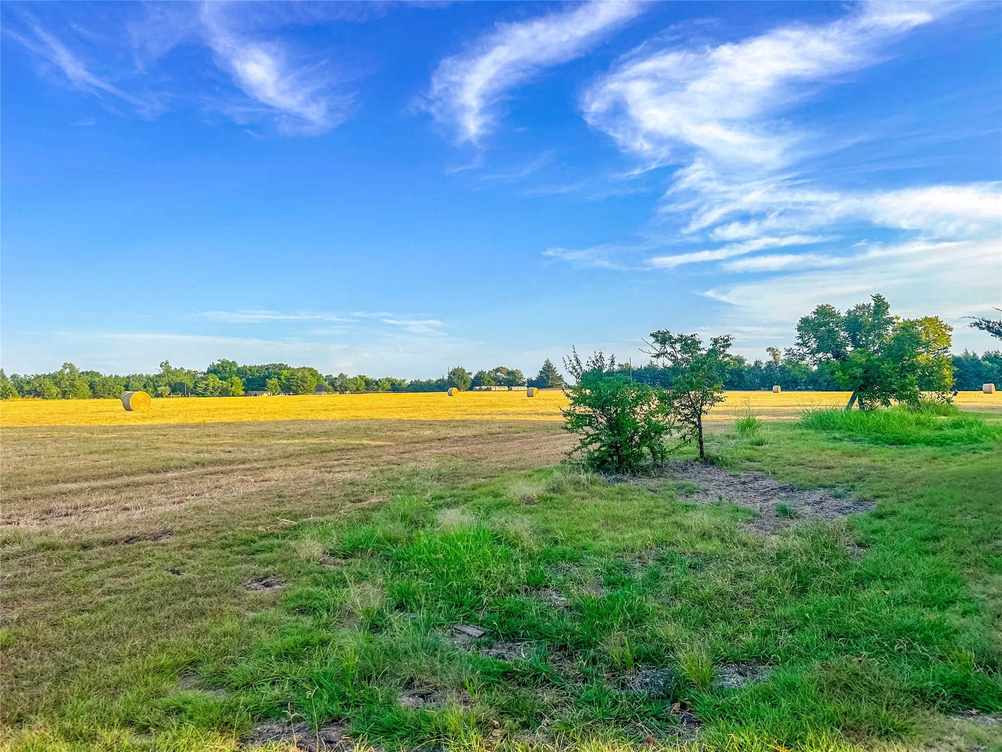 Improved Land For Sale in Collin County , 5201 Windmill Lane, Celina, Texas 75009, 0, 0, Garage spaces, 0 Sqft, built in 1986, mls#21366136, Real Estate Agent in Celina, Homes For Sale in Collin county, Homes For Sale in Celina, Realtor in Celina Texas, Real Estate Brokerage Independent Realty Texas, Luminita Cordes Realtor