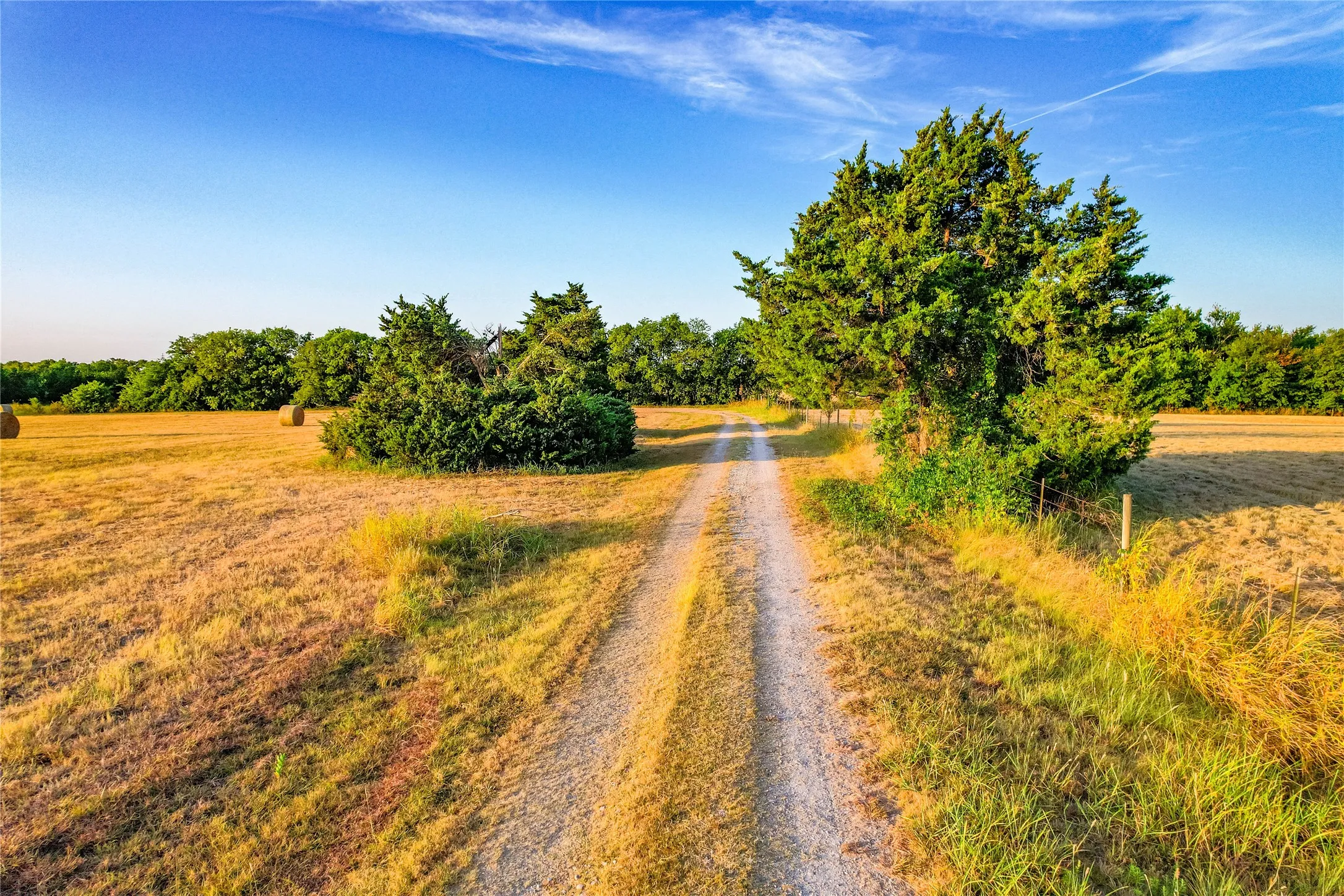 Gravel road bordered by mature trees and natural vegetation