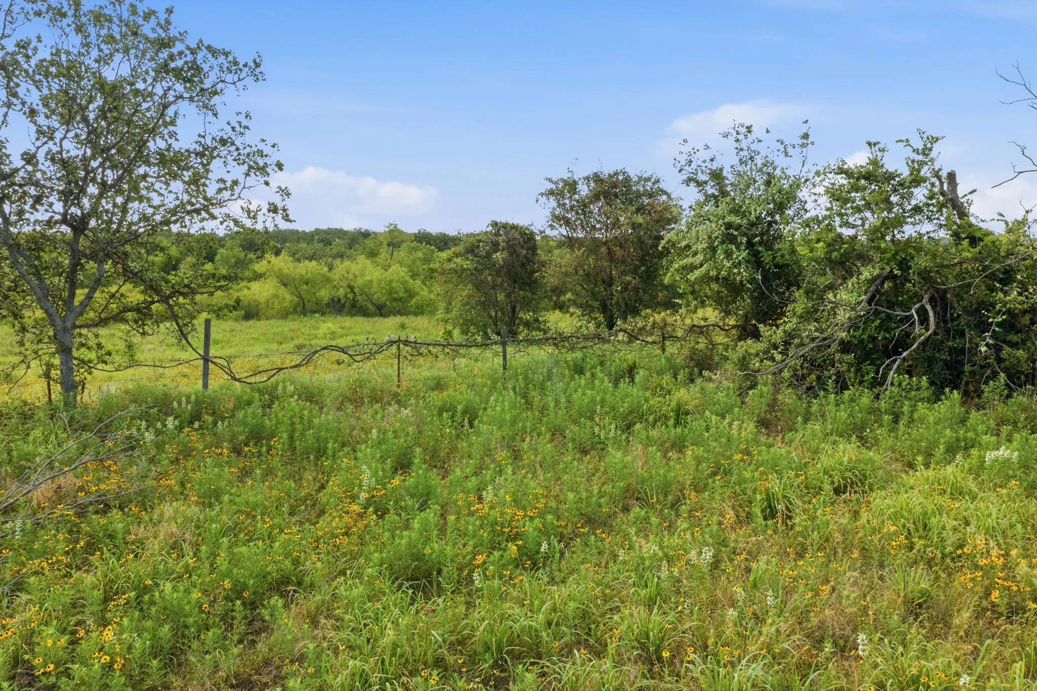 Expansive land with natural vegetation, mature trees, and a barbed wire fence