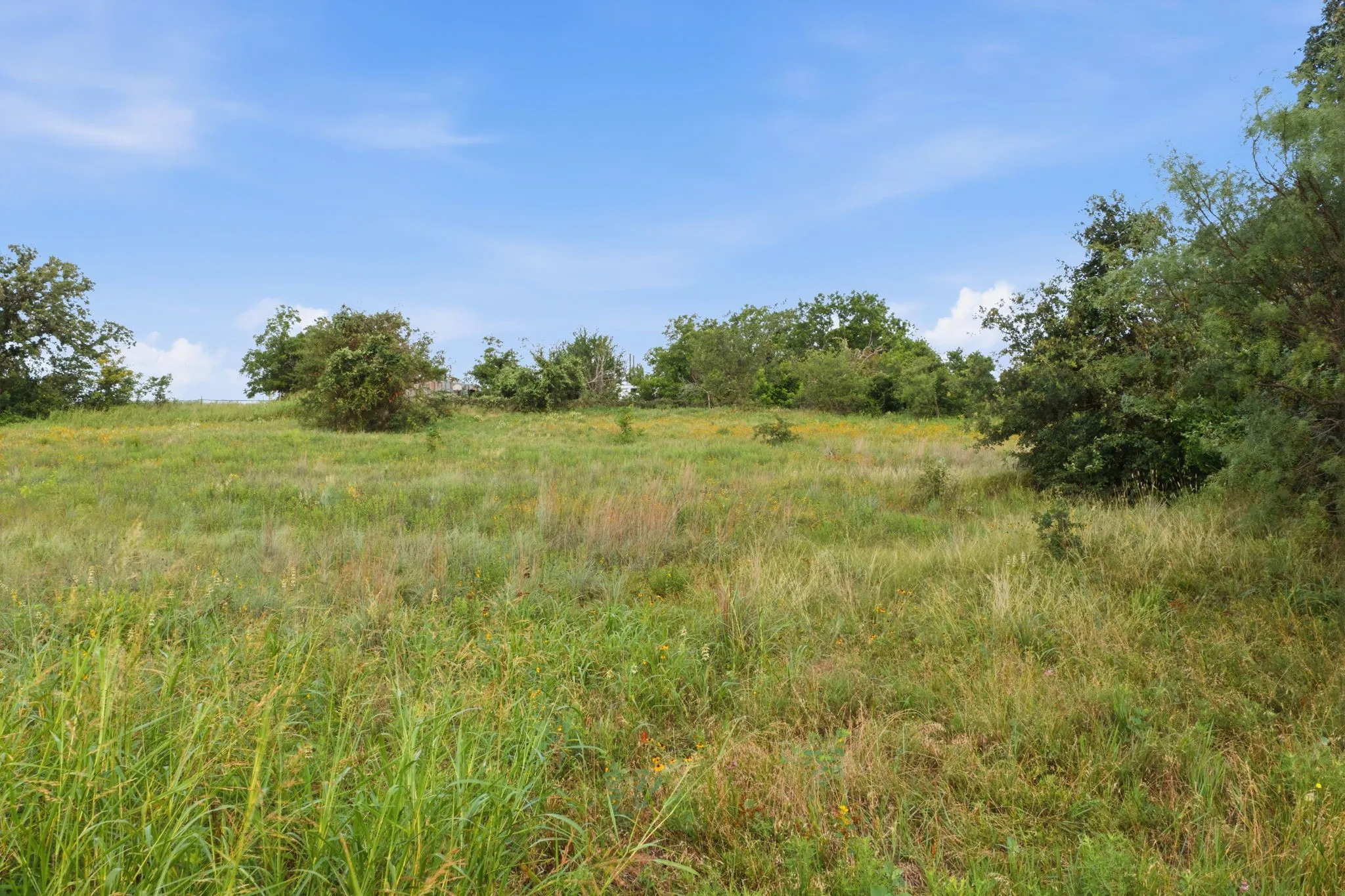 Expansive grassy terrain with varied foliage and scattered trees