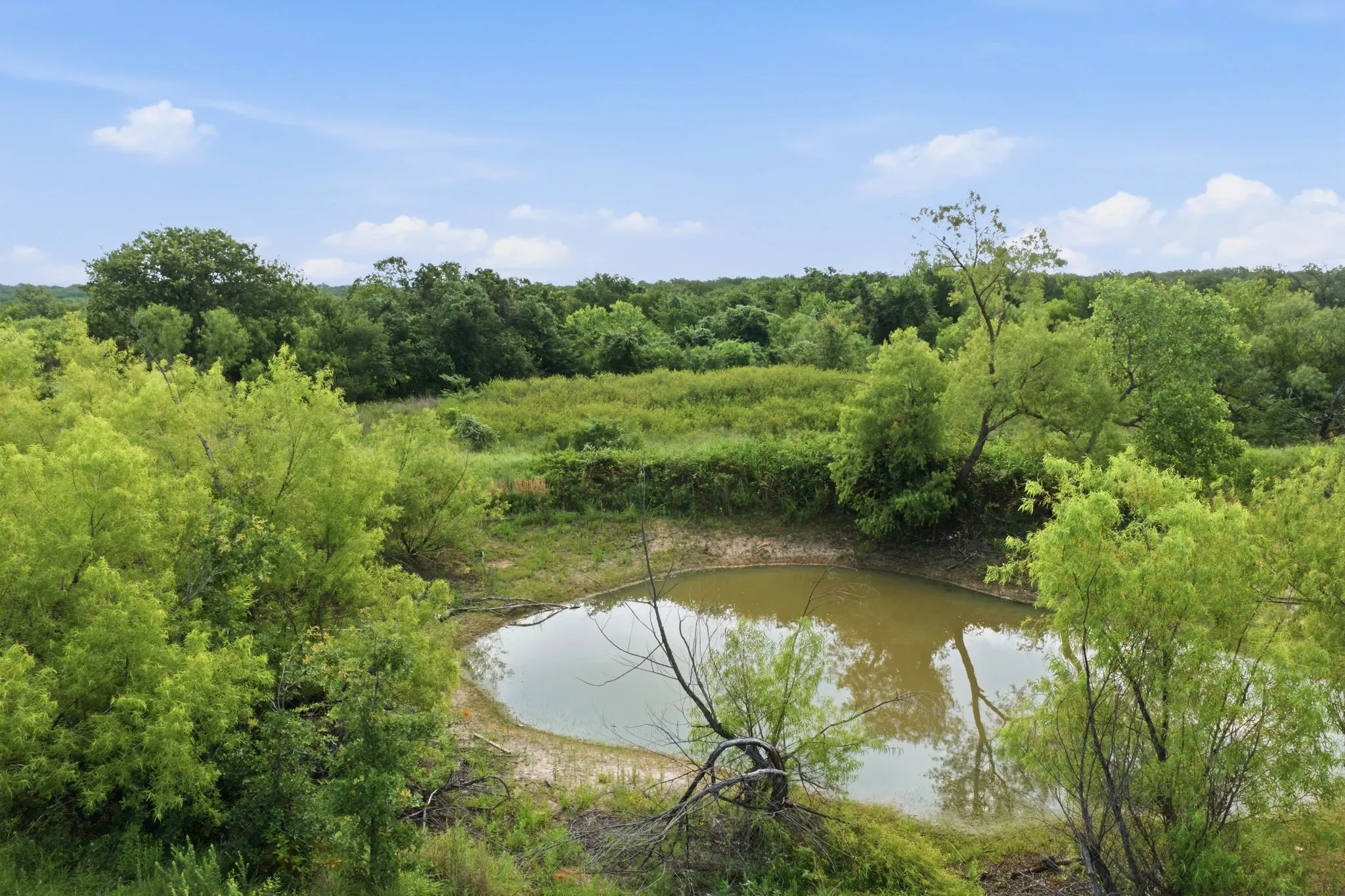 Single Family Residence For Sale in Wise County , 5019 Fm 2123, Paradise, Texas 76073, 4 Bedroom, 2 Bathroom, Garage spaces, 1,941 Sqft, built in 1970, mls#21366166, Real Estate Agent in Paradise, Homes For Sale in Wise county, Homes For Sale in Paradise, Realtor in Paradise Texas, Real Estate Brokerage Independent Realty Texas, Luminita Cordes Realtor