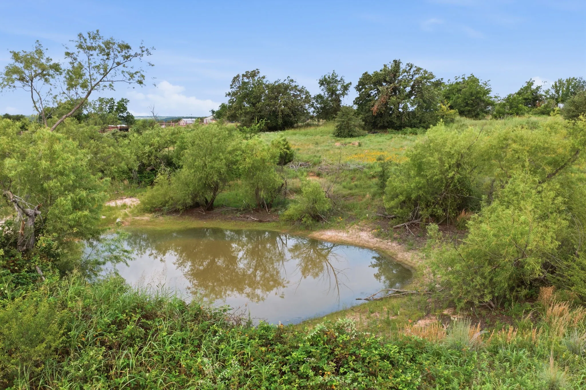 Single Family Residence For Sale in Wise County , 5019 Fm 2123, Paradise, Texas 76073, 4 Bedroom, 2 Bathroom, Garage spaces, 1,941 Sqft, built in 1970, mls#21366166, Real Estate Agent in Paradise, Homes For Sale in Wise county, Homes For Sale in Paradise, Realtor in Paradise Texas, Real Estate Brokerage Independent Realty Texas, Luminita Cordes Realtor