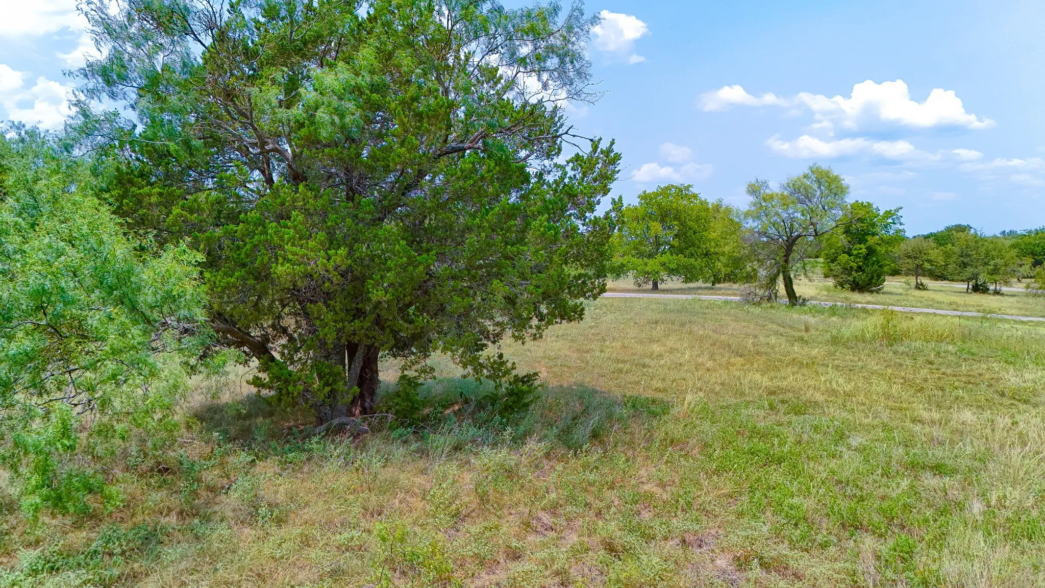 Unimproved Land For Sale in Hill County , 42142 Glen Eagles Drive, Whitney, Texas 76692, 0, 0, Garage spaces, 0 Sqft, built in 0, mls#21358181, Real Estate Agent in Whitney, Homes For Sale in Hill county, Homes For Sale in Whitney, Realtor in Whitney Texas, Real Estate Brokerage Independent Realty Texas, Luminita Cordes Realtor