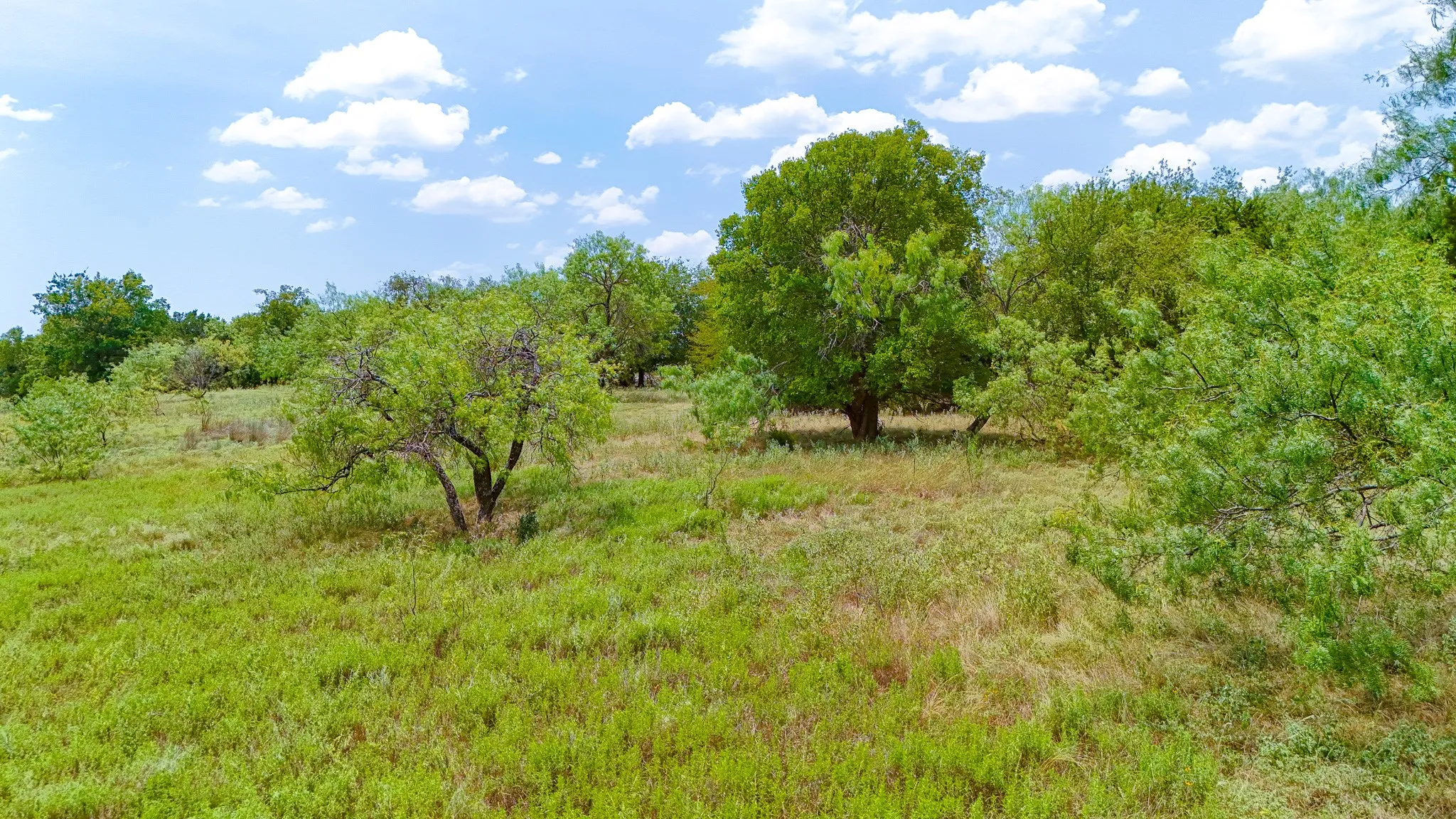 Unimproved Land For Sale in Hill County , 42142 Glen Eagles Drive, Whitney, Texas 76692, 0, 0, Garage spaces, 0 Sqft, built in 0, mls#21358181, Real Estate Agent in Whitney, Homes For Sale in Hill county, Homes For Sale in Whitney, Realtor in Whitney Texas, Real Estate Brokerage Independent Realty Texas, Luminita Cordes Realtor