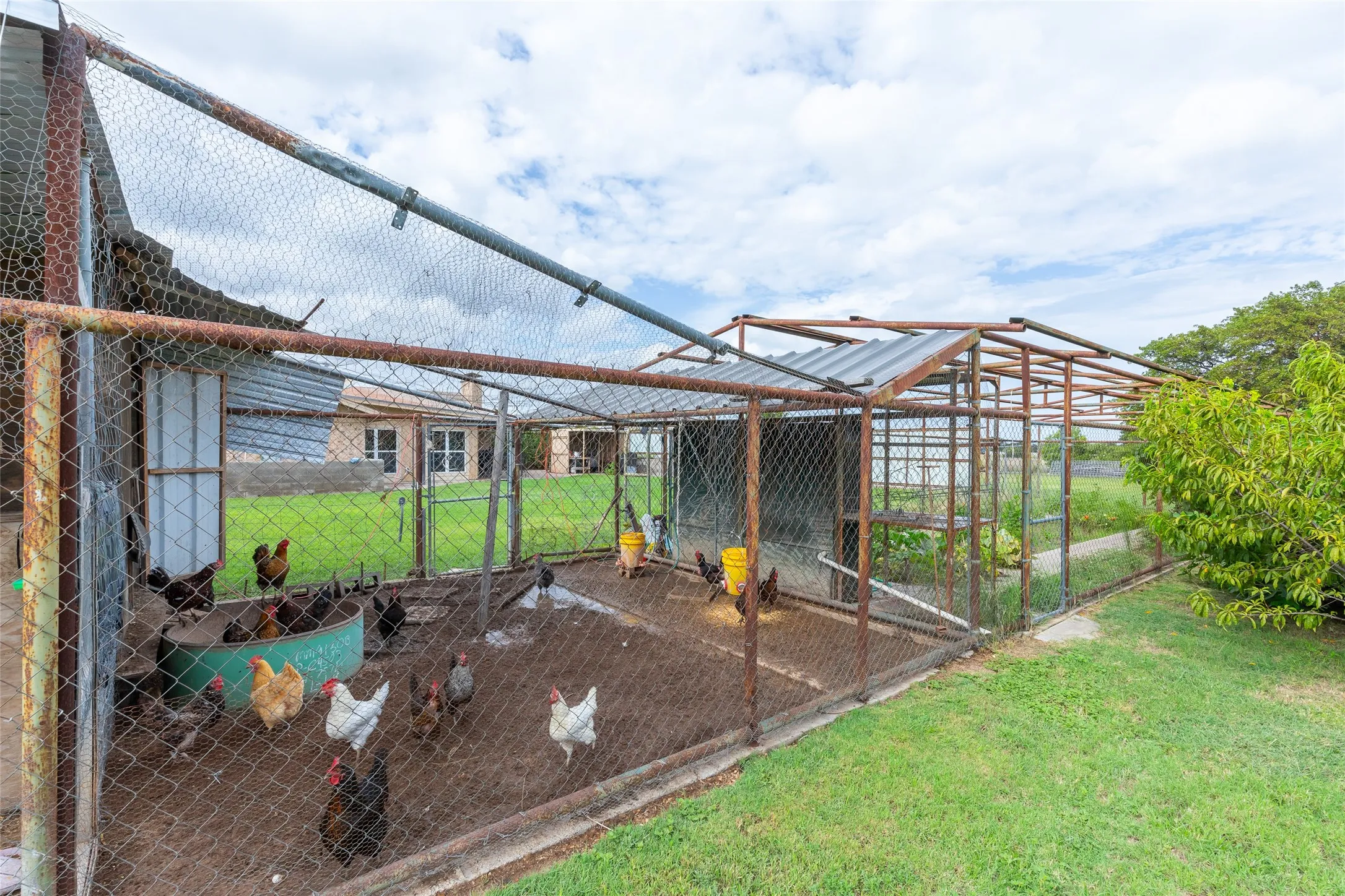 Kennels or Coop