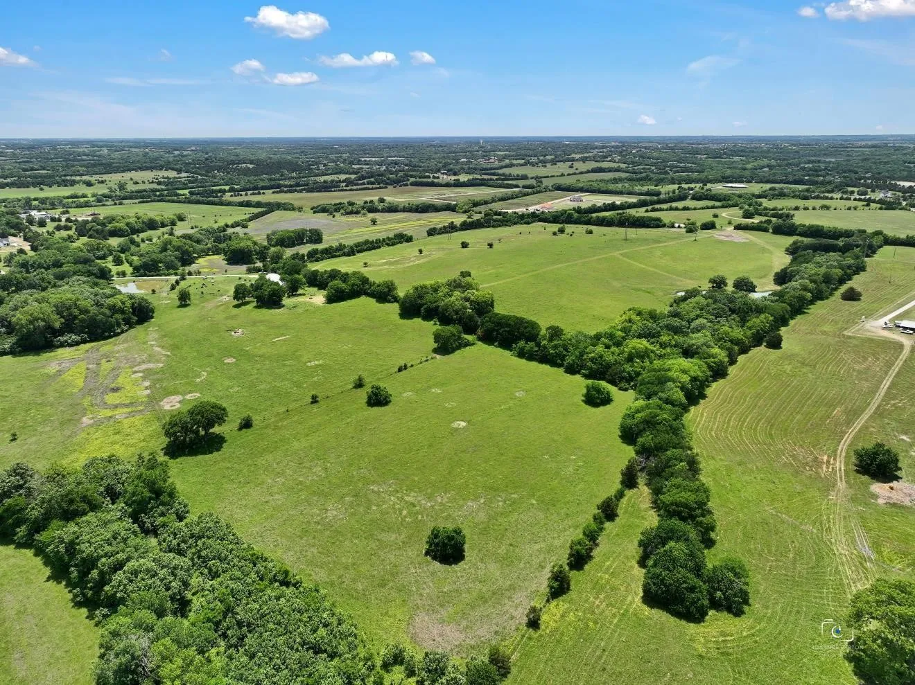Ranch For Sale in Grayson County , 1170 Cameron Hill Drive, Van Alstyne, Texas 75495, 0, 0, Garage spaces, 0 Sqft, built in 0, mls#21366055, Real Estate Agent in Van Alstyne, Homes For Sale in Grayson county, Homes For Sale in Van Alstyne, Realtor in Van Alstyne Texas, Real Estate Brokerage Independent Realty Texas, Luminita Cordes Realtor