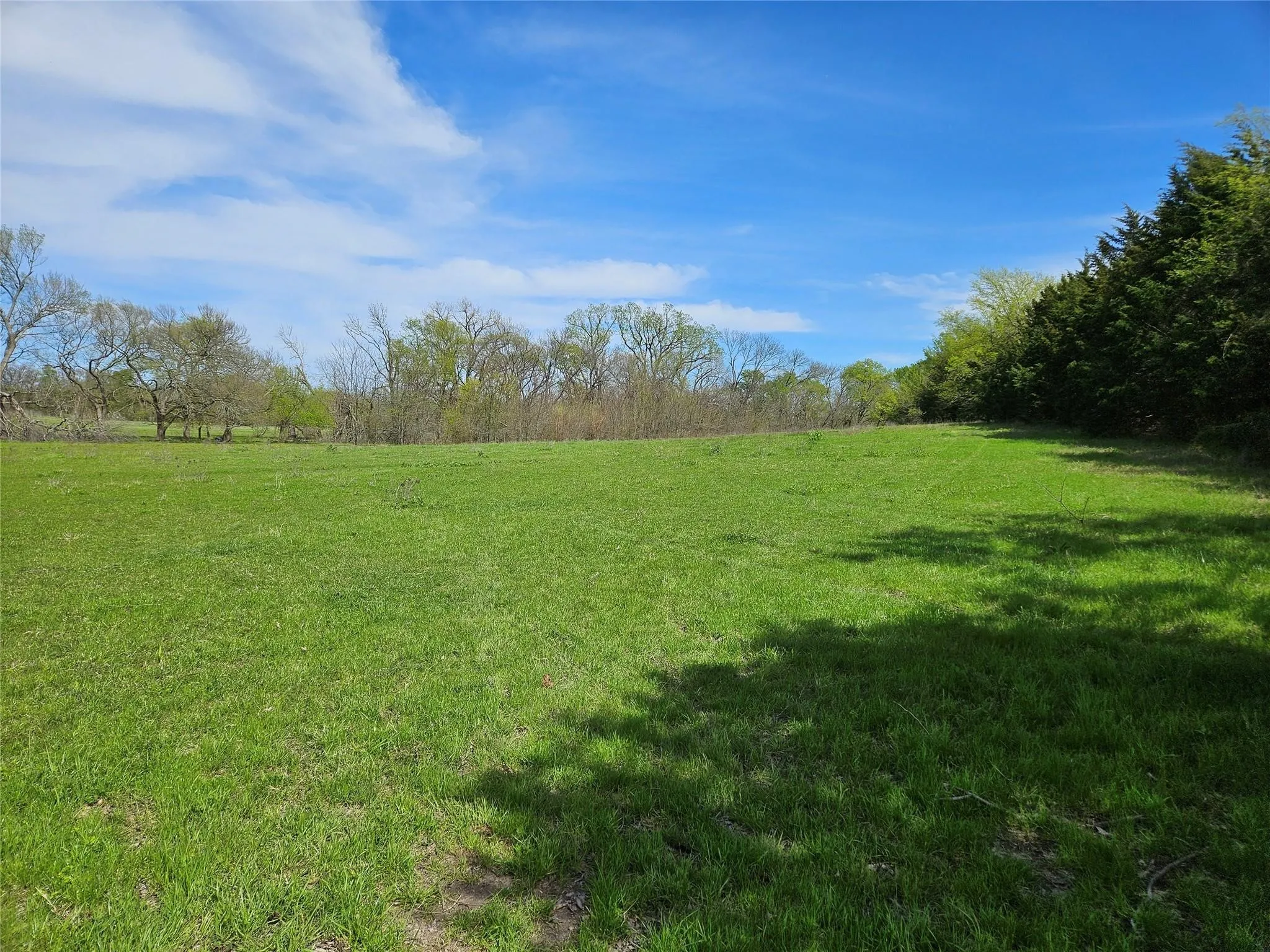 Ranch For Sale in Grayson County , 1170 Cameron Hill Drive, Van Alstyne, Texas 75495, 0, 0, Garage spaces, 0 Sqft, built in 0, mls#21366055, Real Estate Agent in Van Alstyne, Homes For Sale in Grayson county, Homes For Sale in Van Alstyne, Realtor in Van Alstyne Texas, Real Estate Brokerage Independent Realty Texas, Luminita Cordes Realtor