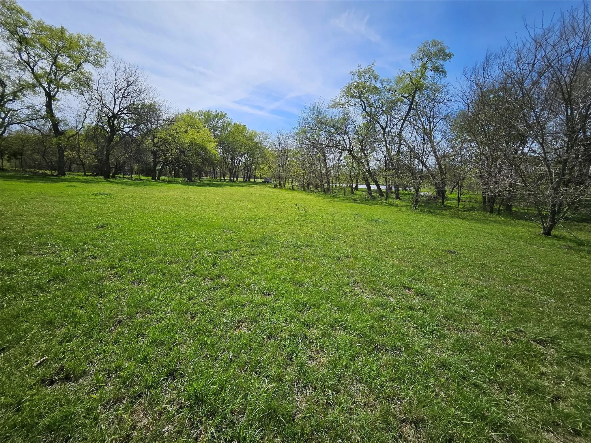 Ranch For Sale in Grayson County , 1170 Cameron Hill Drive, Van Alstyne, Texas 75495, 0, 0, Garage spaces, 0 Sqft, built in 0, mls#21366055, Real Estate Agent in Van Alstyne, Homes For Sale in Grayson county, Homes For Sale in Van Alstyne, Realtor in Van Alstyne Texas, Real Estate Brokerage Independent Realty Texas, Luminita Cordes Realtor