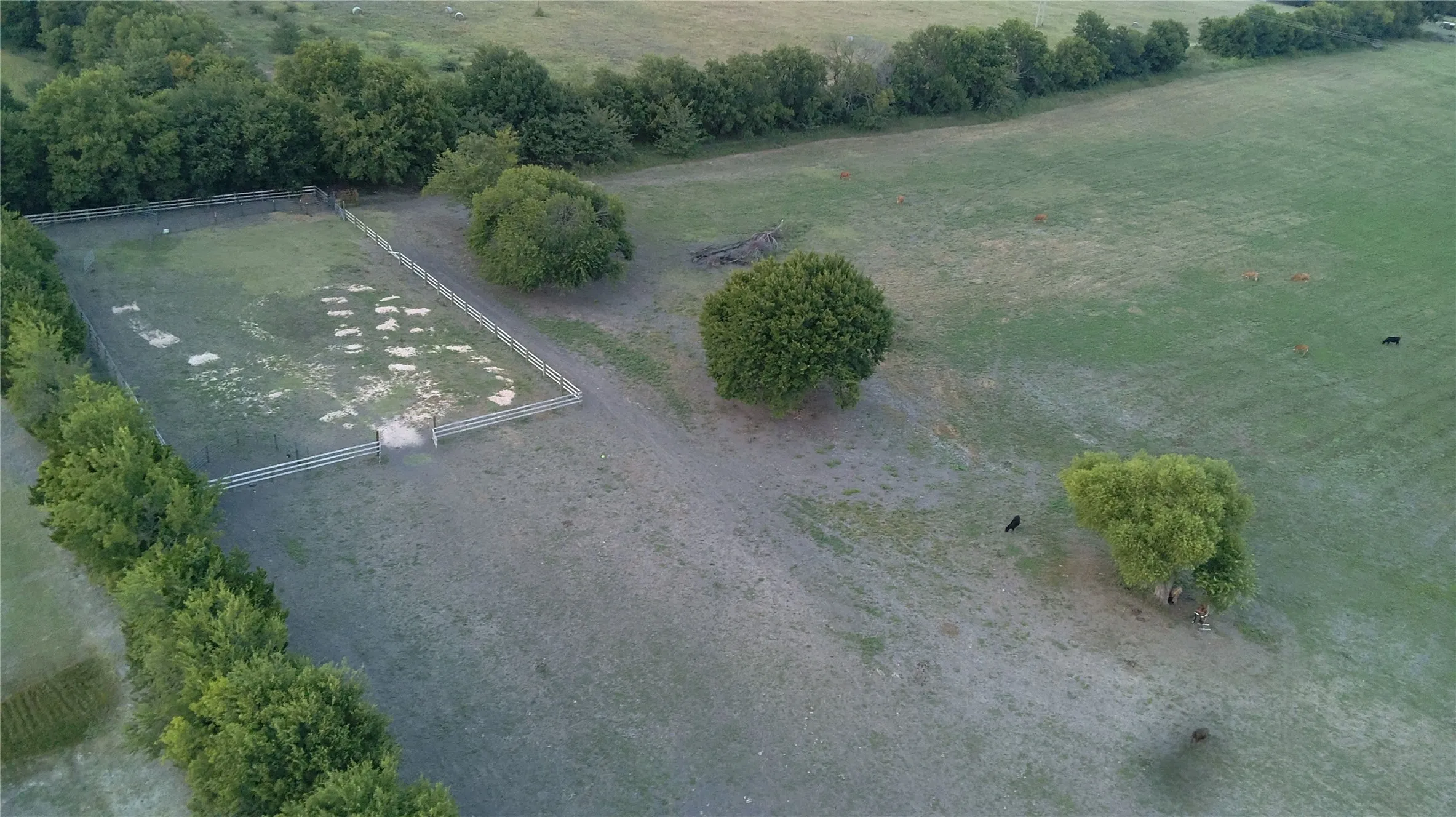 Ranch For Sale in Grayson County , 1170 Cameron Hill Drive, Van Alstyne, Texas 75495, 0, 0, Garage spaces, 0 Sqft, built in 0, mls#21366055, Real Estate Agent in Van Alstyne, Homes For Sale in Grayson county, Homes For Sale in Van Alstyne, Realtor in Van Alstyne Texas, Real Estate Brokerage Independent Realty Texas, Luminita Cordes Realtor
