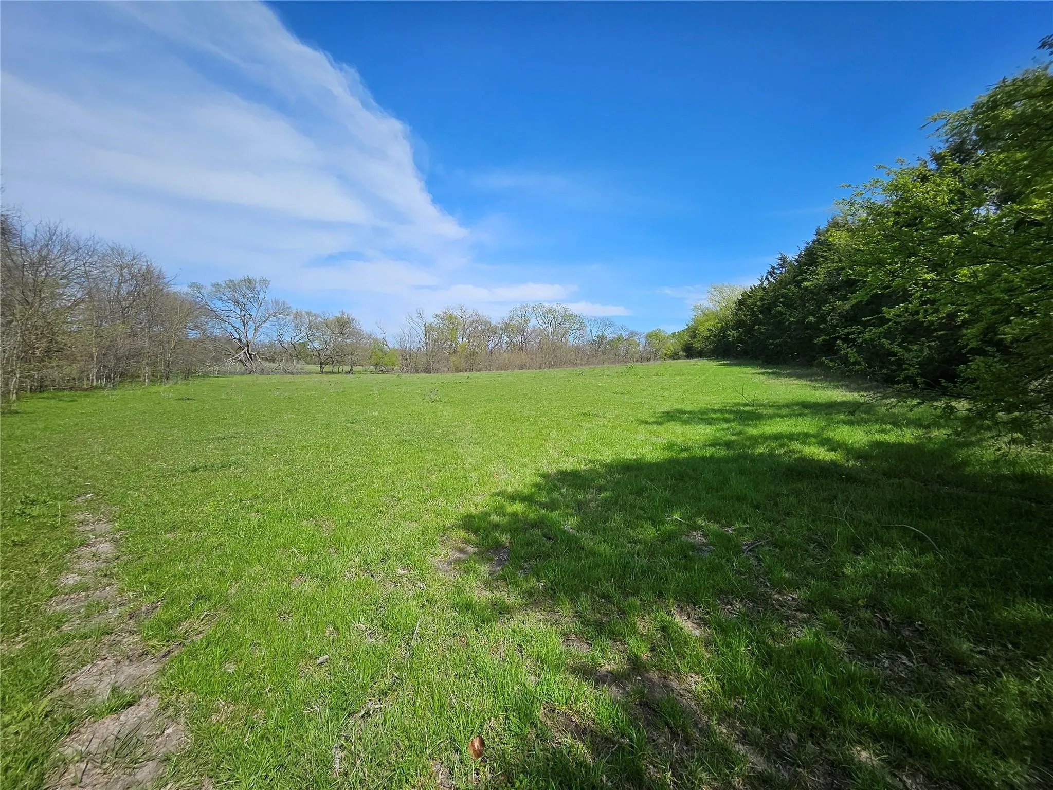 Ranch For Sale in Grayson County , 1170 Cameron Hill Drive, Van Alstyne, Texas 75495, 0, 0, Garage spaces, 0 Sqft, built in 0, mls#21366055, Real Estate Agent in Van Alstyne, Homes For Sale in Grayson county, Homes For Sale in Van Alstyne, Realtor in Van Alstyne Texas, Real Estate Brokerage Independent Realty Texas, Luminita Cordes Realtor