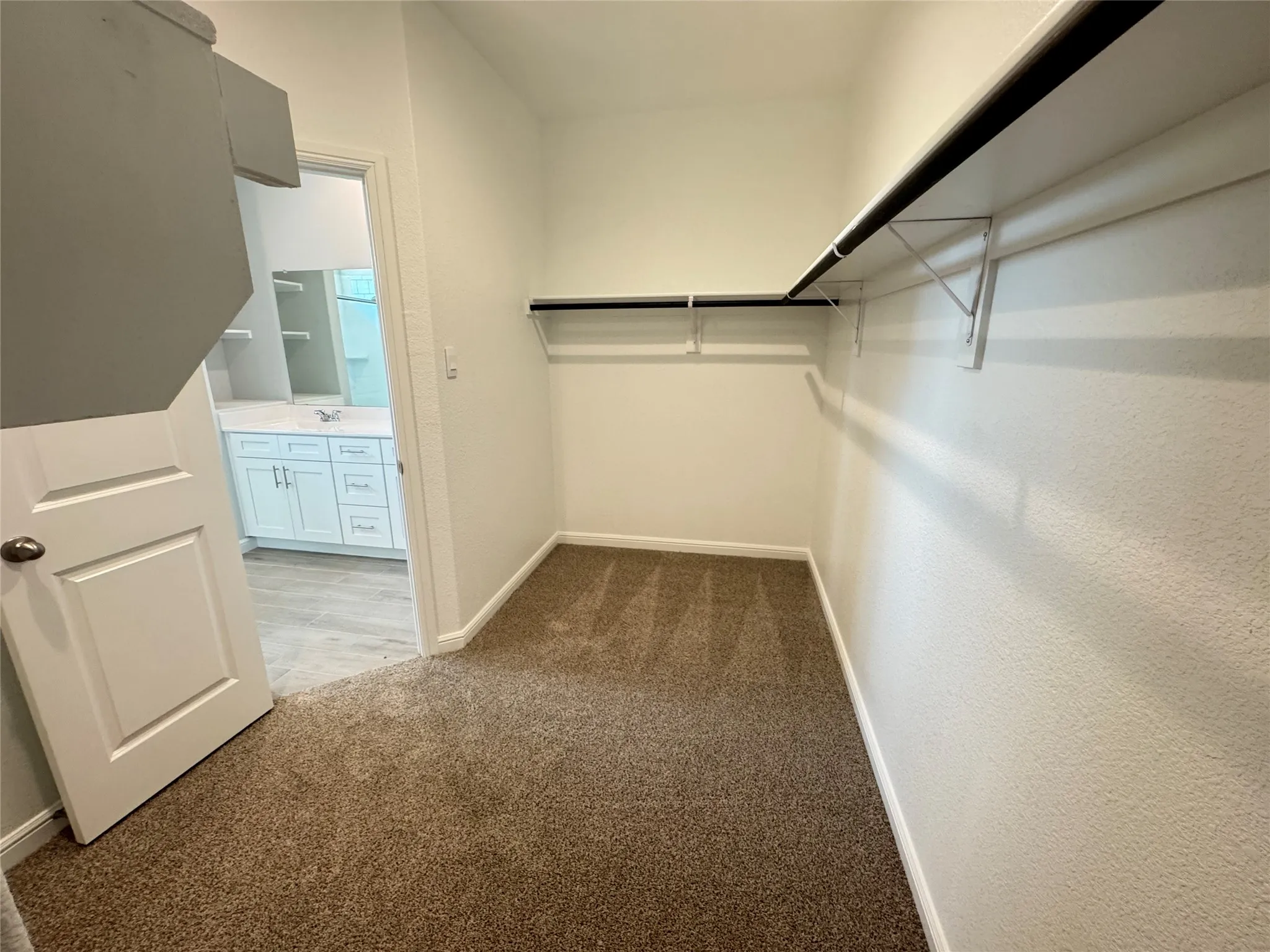 Walk in closet with carpet floors and a sink
