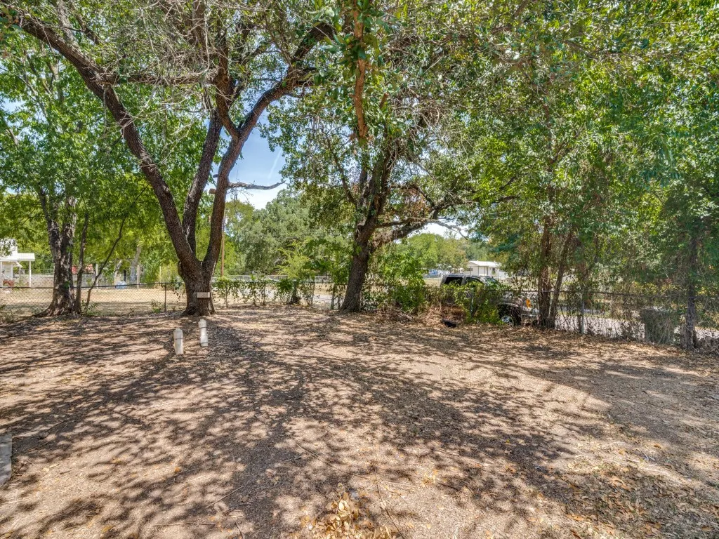 Mature trees with extensive canopy providing natural shade