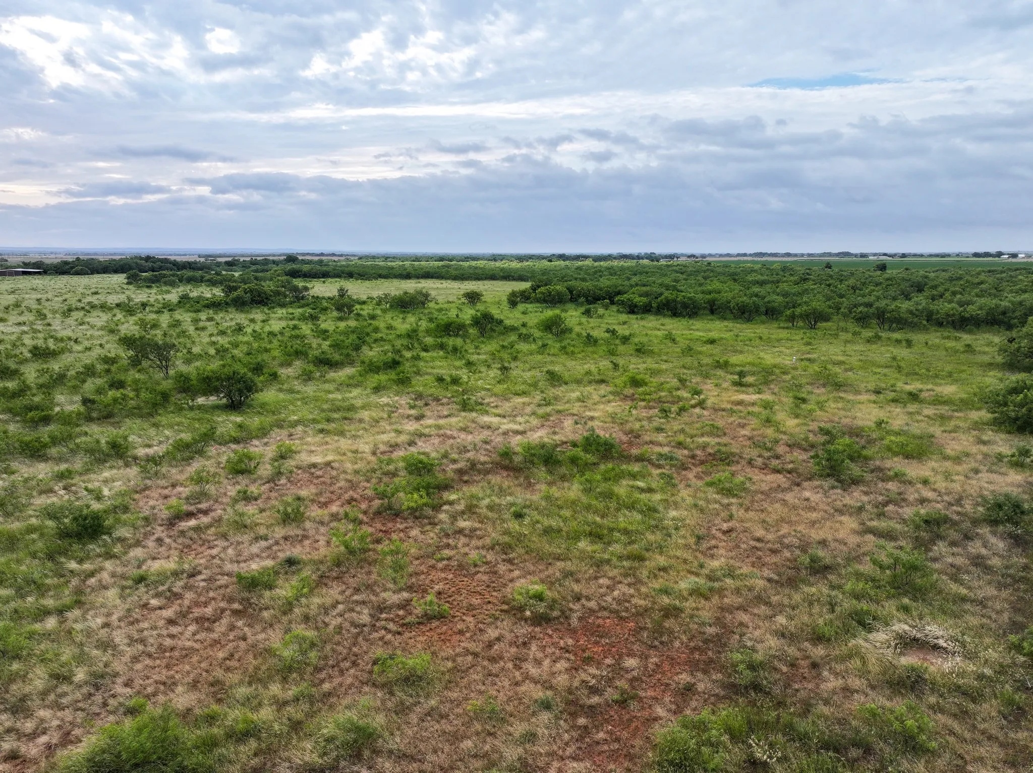 Unimproved Land For Sale in Taylor County , 133 Porcupine Trail, Tuscola, Texas 79562, 0, 0, Garage spaces, 0 Sqft, built in 0, mls#21366228, Real Estate Agent in Tuscola, Homes For Sale in Taylor county, Homes For Sale in Tuscola, Realtor in Tuscola Texas, Real Estate Brokerage Independent Realty Texas, Luminita Cordes Realtor