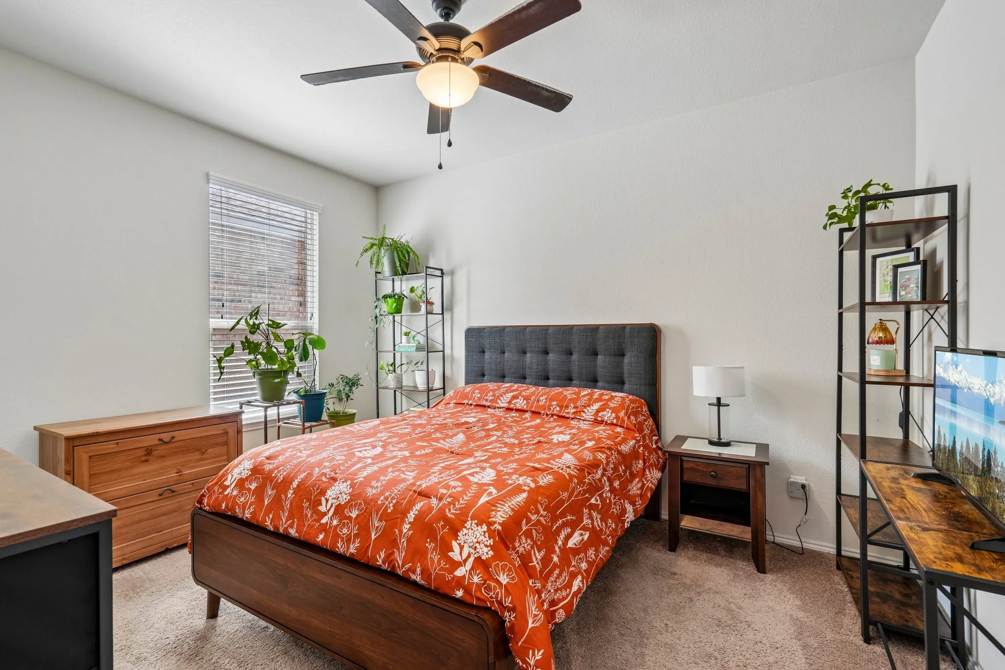 Ceiling fan with integrated lighting, window with blinds, and neutral carpet flooring