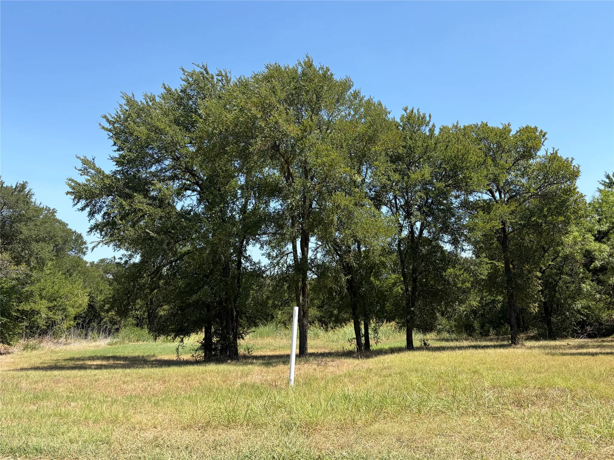 Unimproved Land For Sale in Dallas County , 2487 Creekwood Drive, Cedar Hill, Texas 75104, 0, 0, Garage spaces, 0 Sqft, built in 0, mls#21360023, Real Estate Agent in Cedar Hill, Homes For Sale in Dallas county, Homes For Sale in Cedar Hill, Realtor in Cedar Hill Texas, Real Estate Brokerage Independent Realty Texas, Luminita Cordes Realtor
