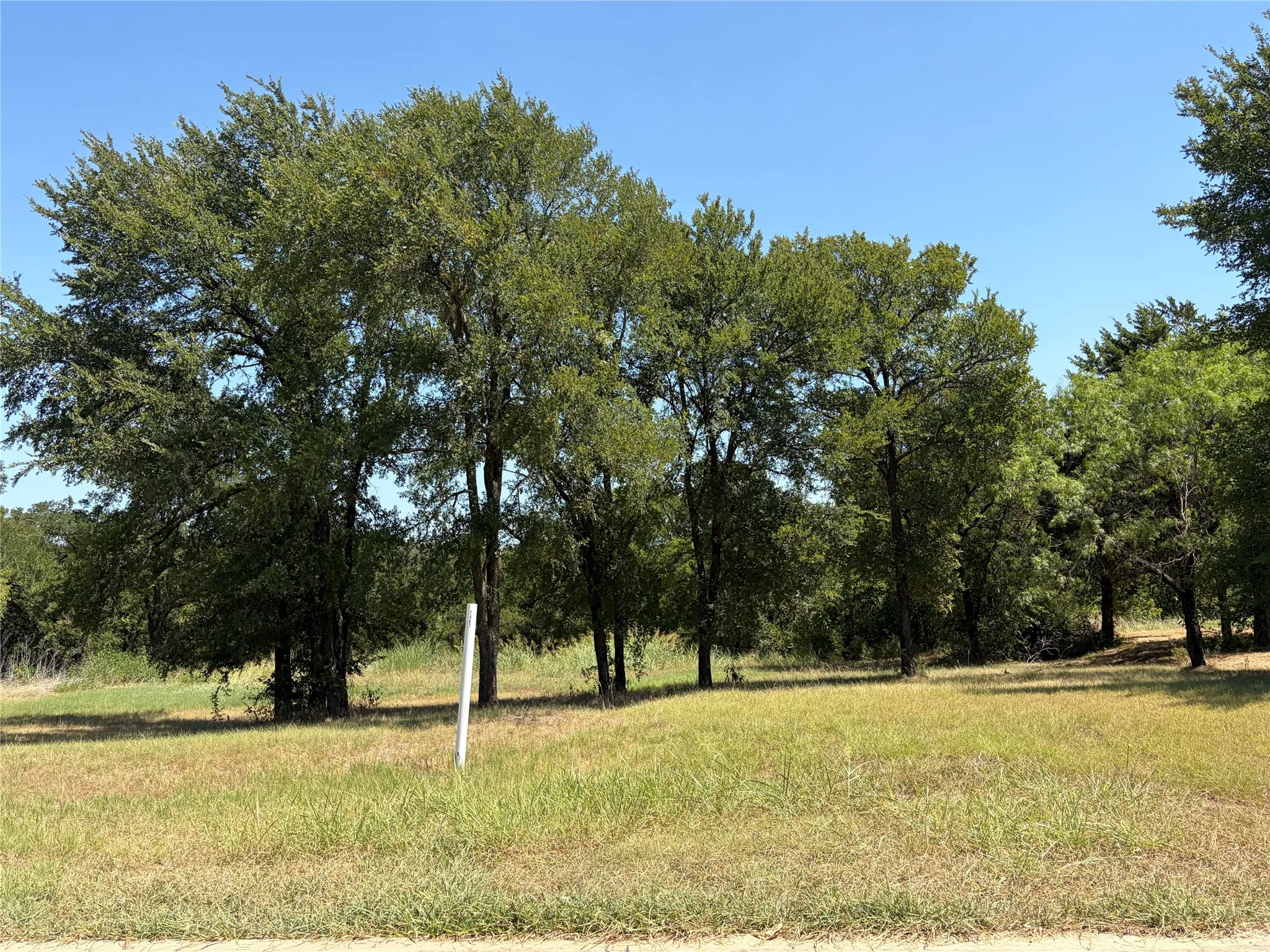 Unimproved Land For Sale in Dallas County , 2487 Creekwood Drive, Cedar Hill, Texas 75104, 0, 0, Garage spaces, 0 Sqft, built in 0, mls#21360023, Real Estate Agent in Cedar Hill, Homes For Sale in Dallas county, Homes For Sale in Cedar Hill, Realtor in Cedar Hill Texas, Real Estate Brokerage Independent Realty Texas, Luminita Cordes Realtor