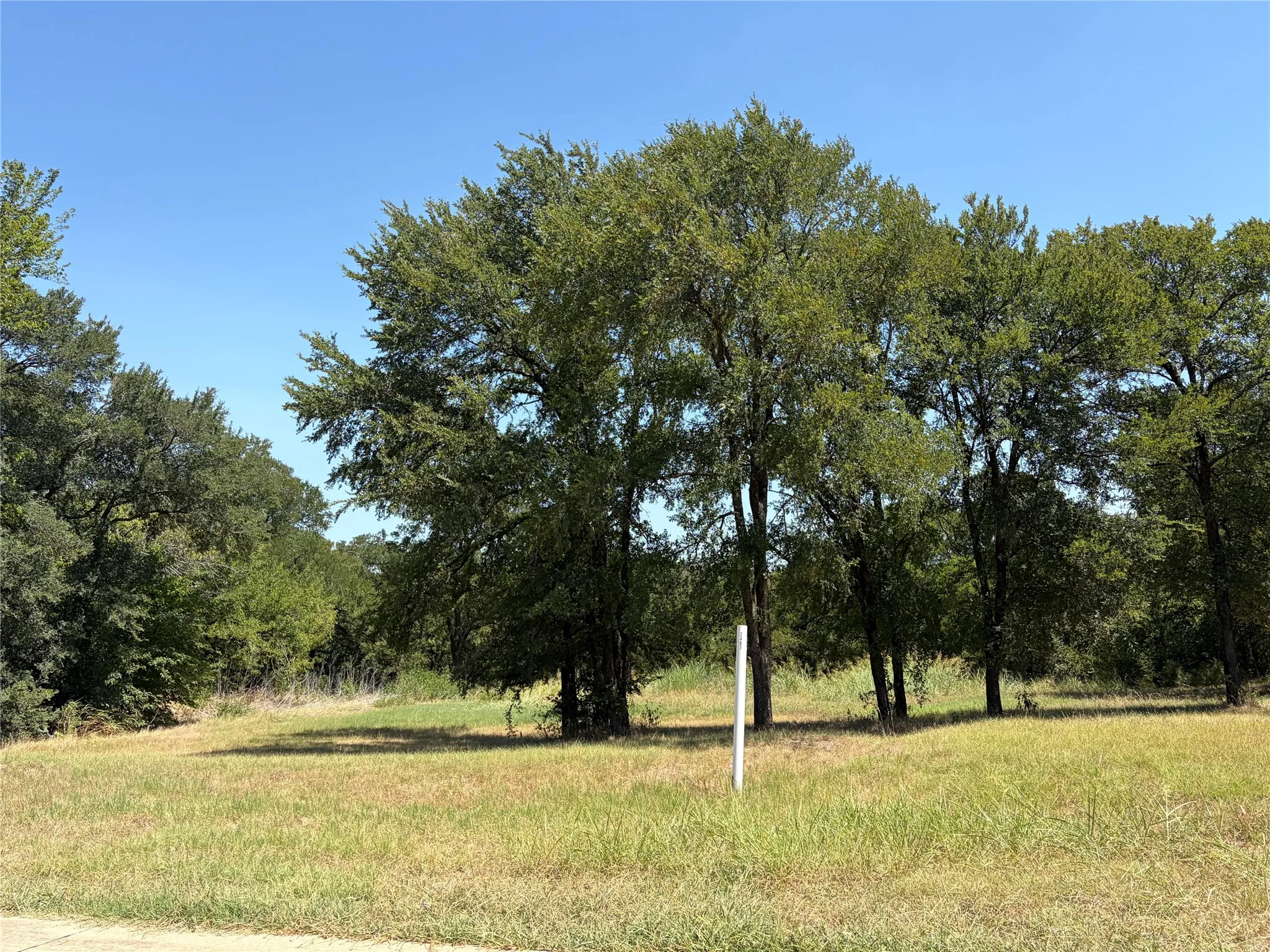 Unimproved Land For Sale in Dallas County , 2487 Creekwood Drive, Cedar Hill, Texas 75104, 0, 0, Garage spaces, 0 Sqft, built in 0, mls#21360023, Real Estate Agent in Cedar Hill, Homes For Sale in Dallas county, Homes For Sale in Cedar Hill, Realtor in Cedar Hill Texas, Real Estate Brokerage Independent Realty Texas, Luminita Cordes Realtor