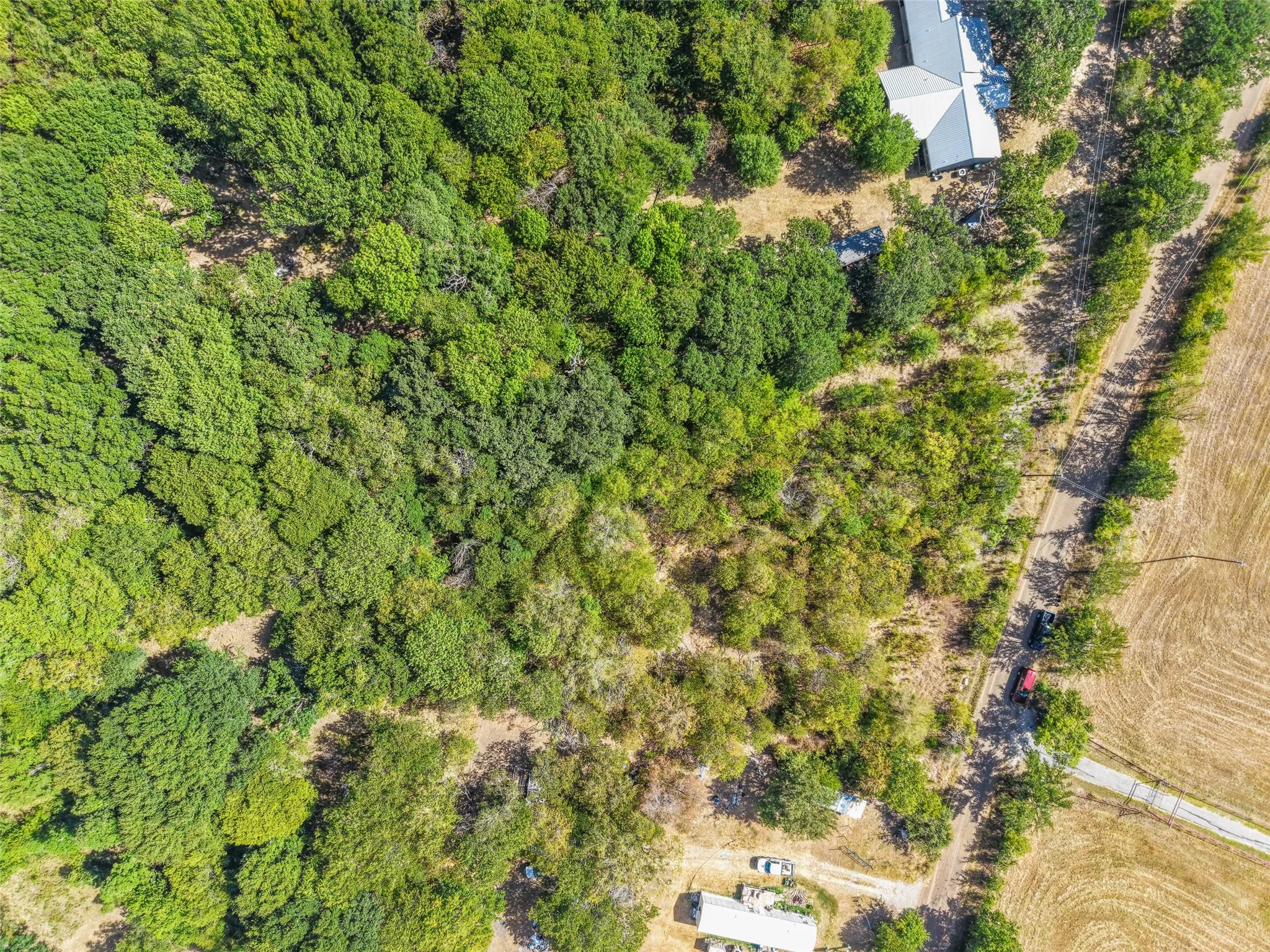 Unimproved Land For Sale in Kaufman County , 0 County Road 4076, Scurry, Texas 75158, 0, 0, Garage spaces, 0 Sqft, built in 0, Price $80,000, mls#21366239, Real Estate Agent in Scurry, Homes For Sale in Kaufman county, Homes For Sale in Scurry, Realtor in Scurry Texas, Real Estate Brokerage Independent Realty Texas, Luminita Cordes Realtor