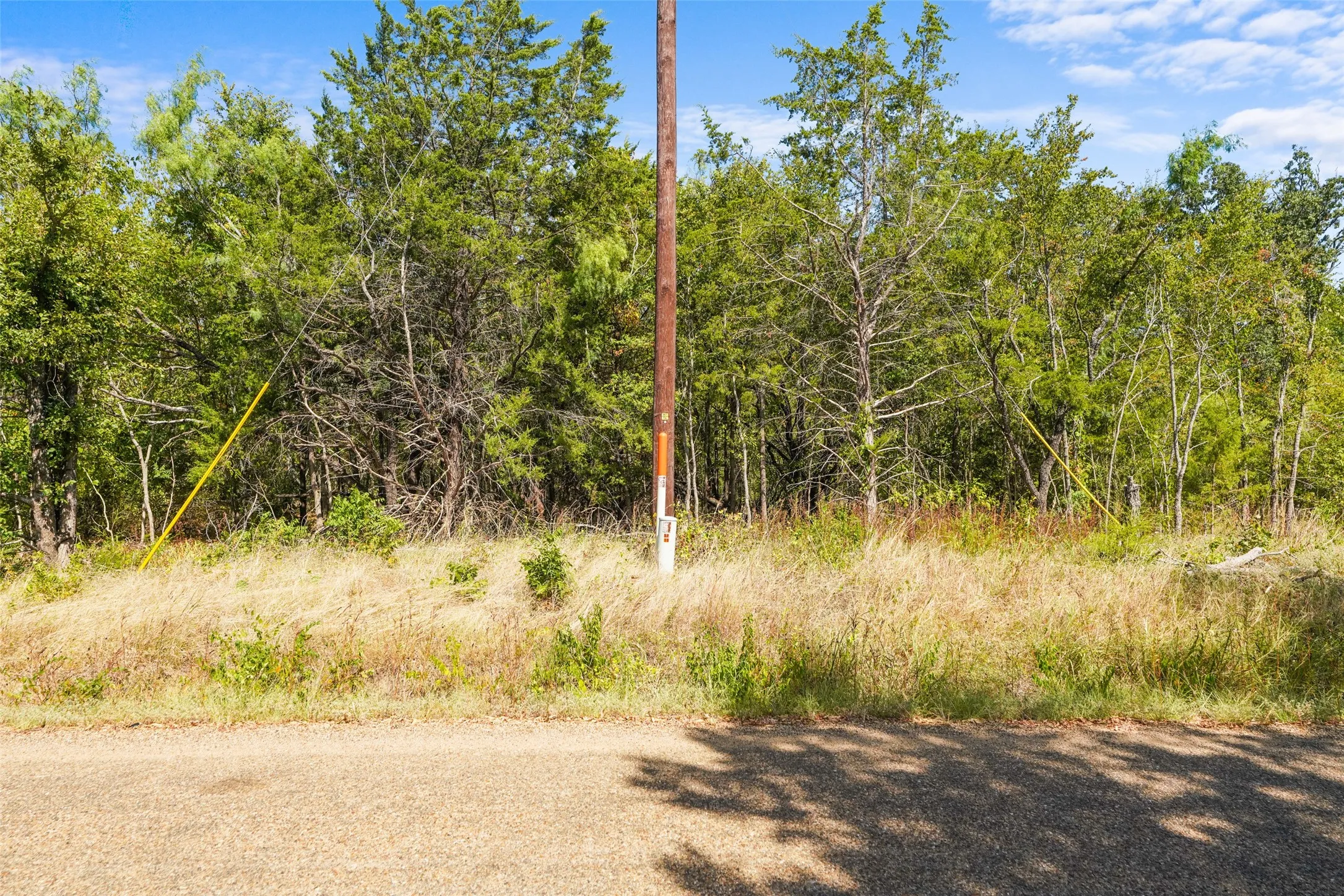 Unimproved Land For Sale in Kaufman County , 0 County Road 4076, Scurry, Texas 75158, 0, 0, Garage spaces, 0 Sqft, built in 0, Price $80,000, mls#21366239, Real Estate Agent in Scurry, Homes For Sale in Kaufman county, Homes For Sale in Scurry, Realtor in Scurry Texas, Real Estate Brokerage Independent Realty Texas, Luminita Cordes Realtor
