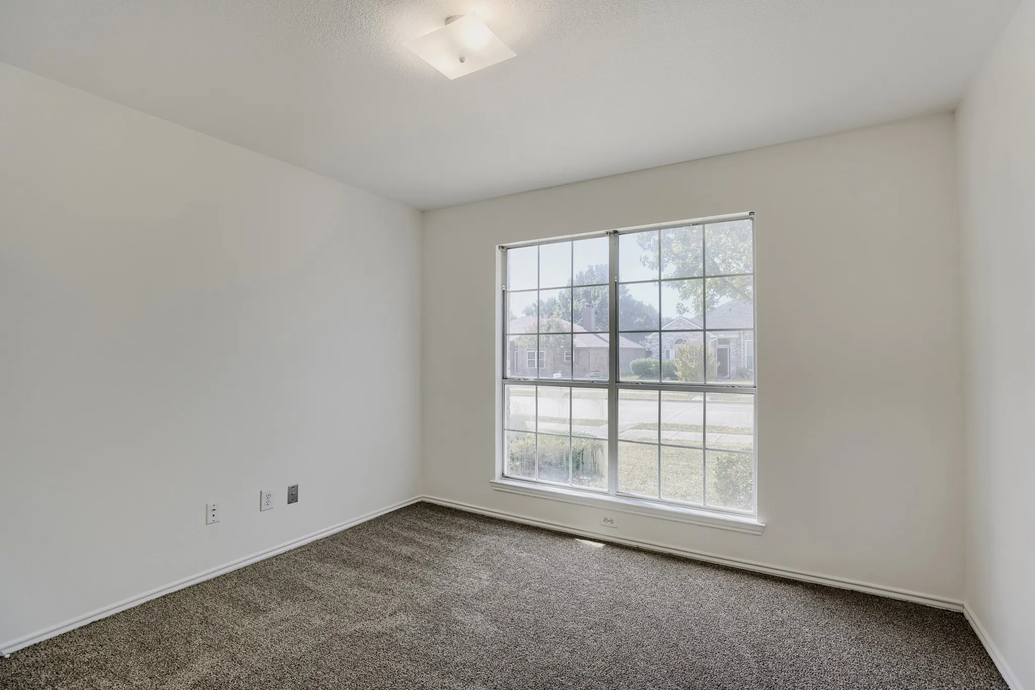 Neutral-toned carpeting, white walls, and a large multi-pane window