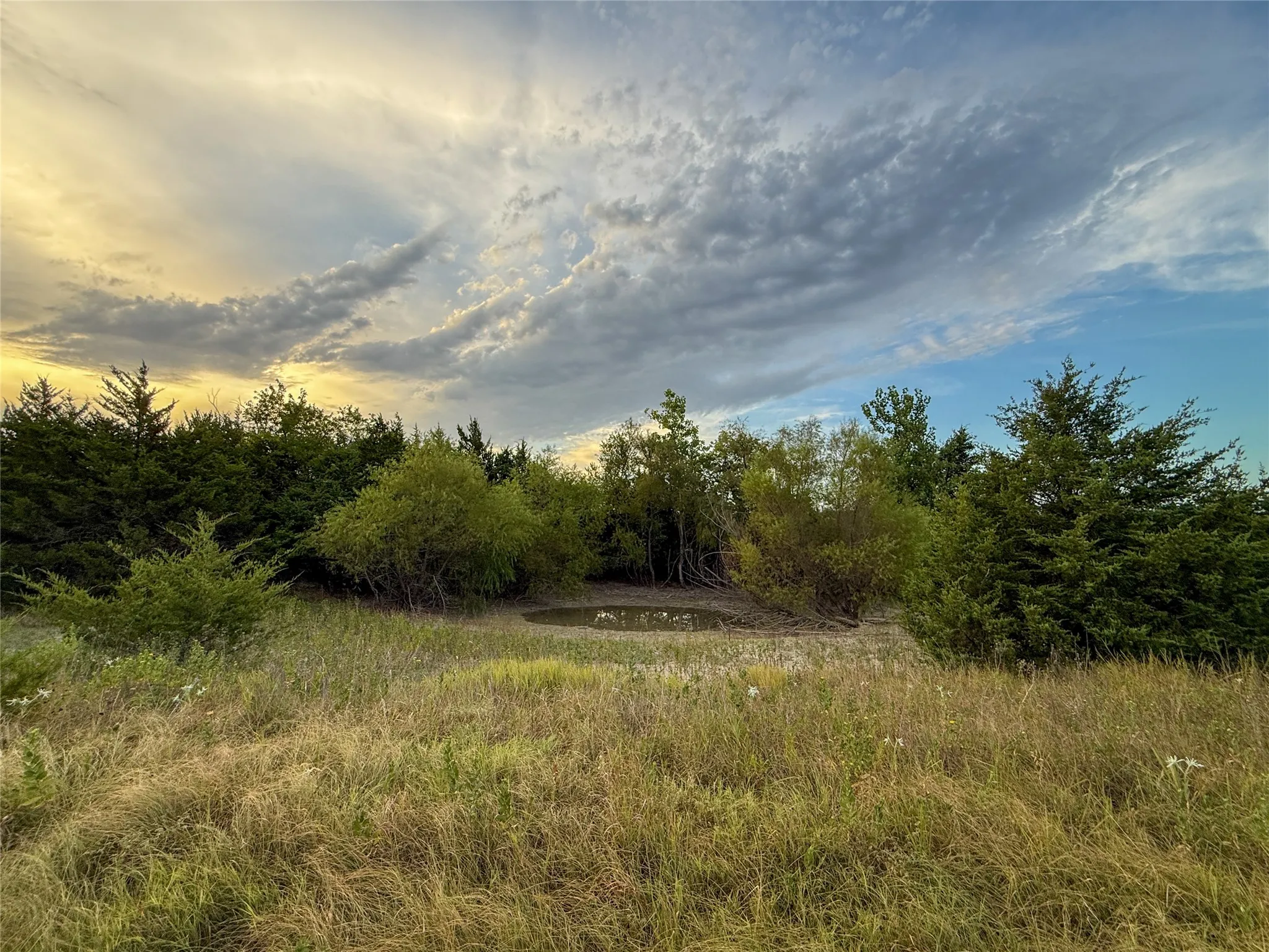 Unimproved Land For Sale in Fannin County , TBD US HIGHWAY 82, Honey Grove, Texas 75446, 0, 0, Garage spaces, 0 Sqft, built in 0, Price $741,405, mls#21366190, Real Estate Agent in Honey Grove, Homes For Sale in Fannin county, Homes For Sale in Honey Grove, Realtor in Honey Grove Texas, Real Estate Brokerage Independent Realty Texas, Luminita Cordes Realtor