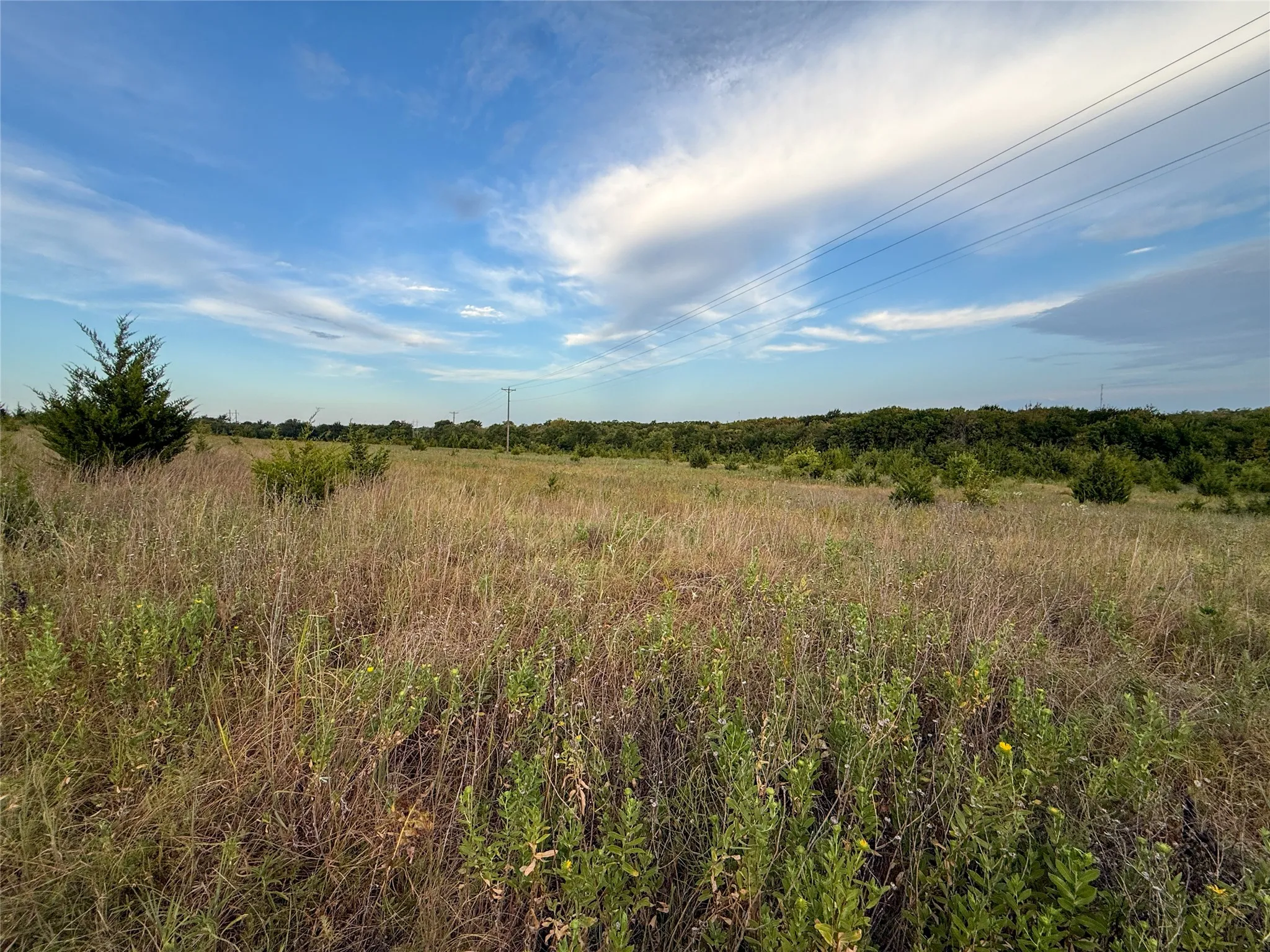 Unimproved Land For Sale in Fannin County , TBD US HIGHWAY 82, Honey Grove, Texas 75446, 0, 0, Garage spaces, 0 Sqft, built in 0, Price $741,405, mls#21366190, Real Estate Agent in Honey Grove, Homes For Sale in Fannin county, Homes For Sale in Honey Grove, Realtor in Honey Grove Texas, Real Estate Brokerage Independent Realty Texas, Luminita Cordes Realtor