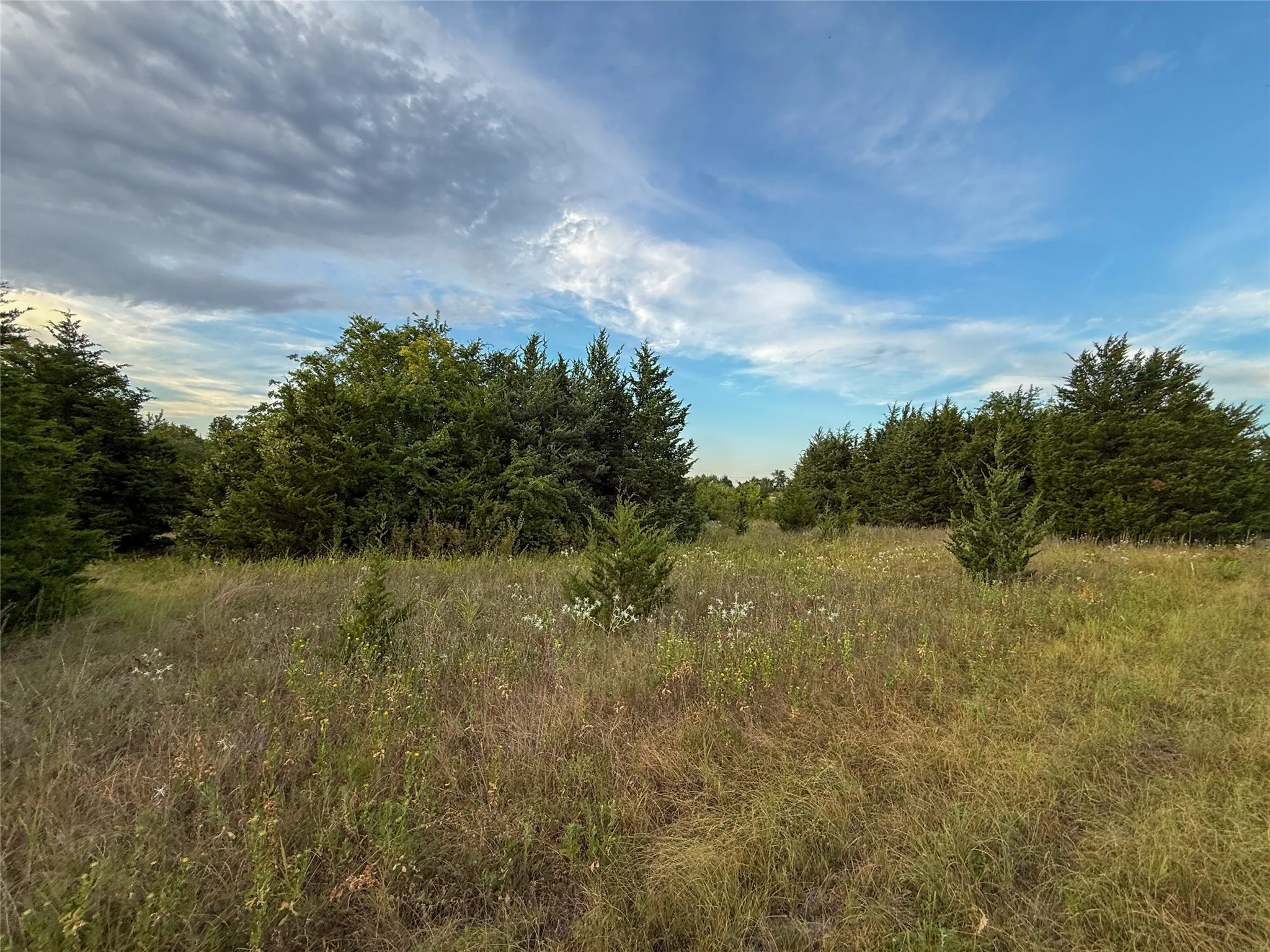 Unimproved Land For Sale in Fannin County , TBD US HIGHWAY 82, Honey Grove, Texas 75446, 0, 0, Garage spaces, 0 Sqft, built in 0, Price $741,405, mls#21366190, Real Estate Agent in Honey Grove, Homes For Sale in Fannin county, Homes For Sale in Honey Grove, Realtor in Honey Grove Texas, Real Estate Brokerage Independent Realty Texas, Luminita Cordes Realtor