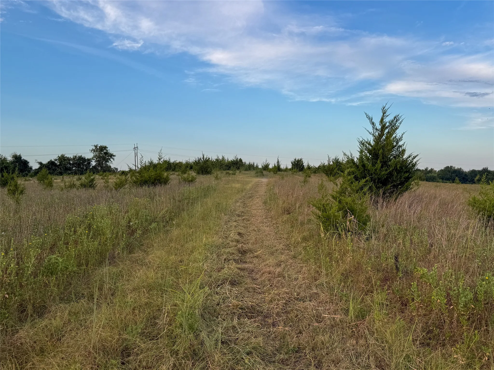 Unimproved Land For Sale in Fannin County , TBD US HIGHWAY 82, Honey Grove, Texas 75446, 0, 0, Garage spaces, 0 Sqft, built in 0, Price $741,405, mls#21366190, Real Estate Agent in Honey Grove, Homes For Sale in Fannin county, Homes For Sale in Honey Grove, Realtor in Honey Grove Texas, Real Estate Brokerage Independent Realty Texas, Luminita Cordes Realtor