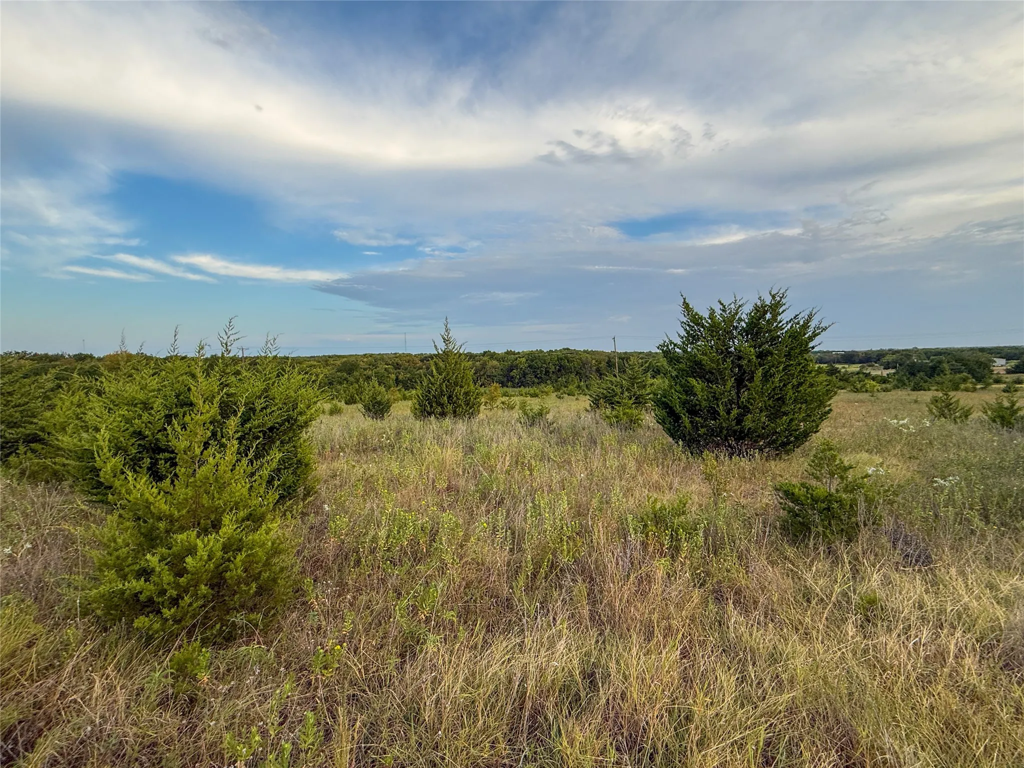 Unimproved Land For Sale in Fannin County , TBD US HIGHWAY 82, Honey Grove, Texas 75446, 0, 0, Garage spaces, 0 Sqft, built in 0, Price $741,405, mls#21366190, Real Estate Agent in Honey Grove, Homes For Sale in Fannin county, Homes For Sale in Honey Grove, Realtor in Honey Grove Texas, Real Estate Brokerage Independent Realty Texas, Luminita Cordes Realtor