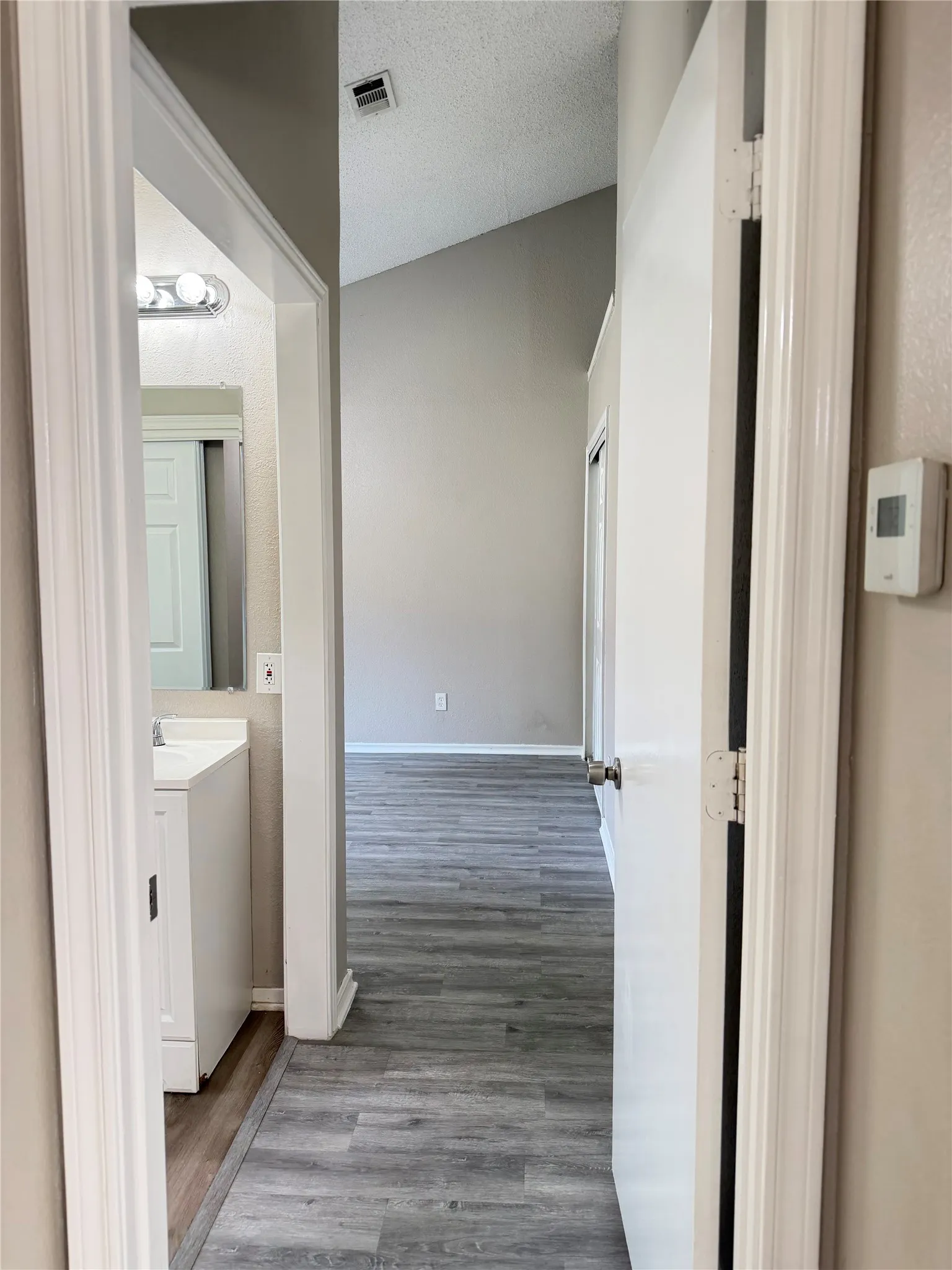 Vaulted ceiling, wood-finish flooring, neutral paint, built-in vanity with single basin, wall-mounted light fixture