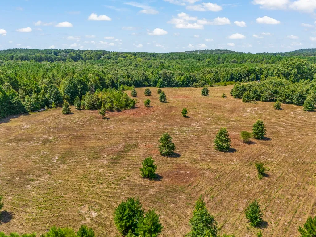 Ranch For Sale in Upshur County , 12843 FM 2796, Pittsburg, Texas 75686, 0, 0, Garage spaces, 0 Sqft, built in 0, Price $778,290, mls#21366360, Real Estate Agent in Pittsburg, Homes For Sale in Upshur county, Homes For Sale in Pittsburg, Realtor in Pittsburg Texas, Real Estate Brokerage Independent Realty Texas, Luminita Cordes Realtor