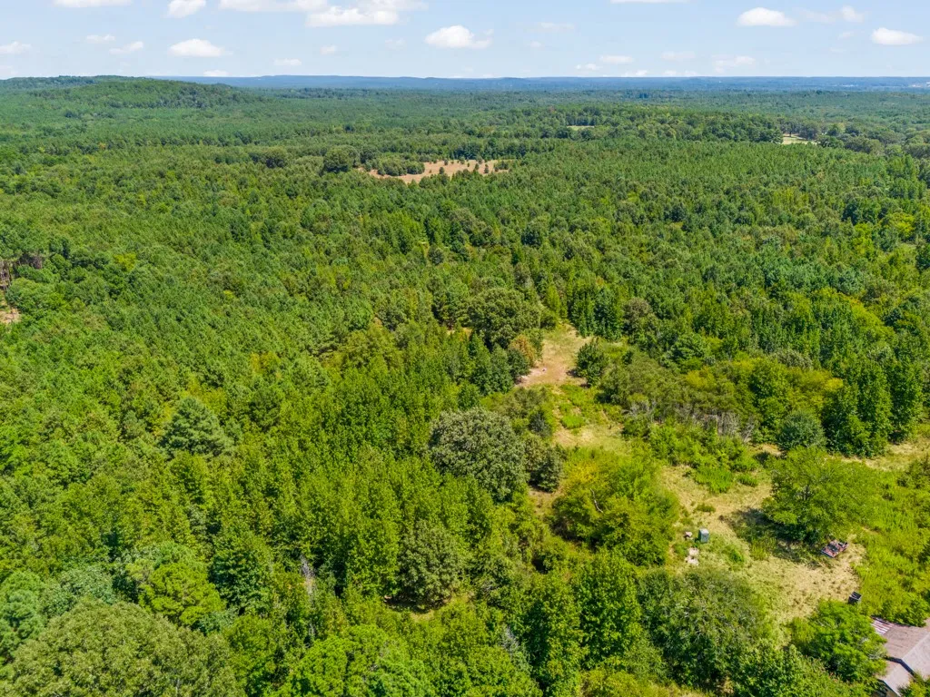 Expansive wooded property featuring a diverse tree canopy and substantial natural landscape