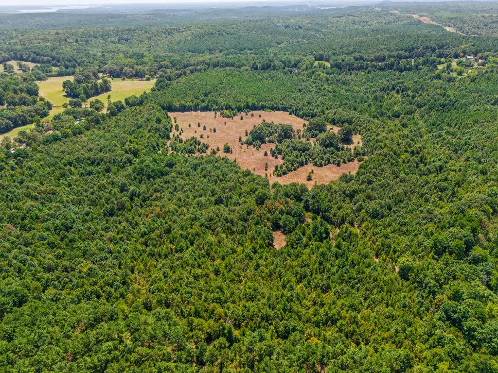 Expansive acreage featuring mature trees and open clearings