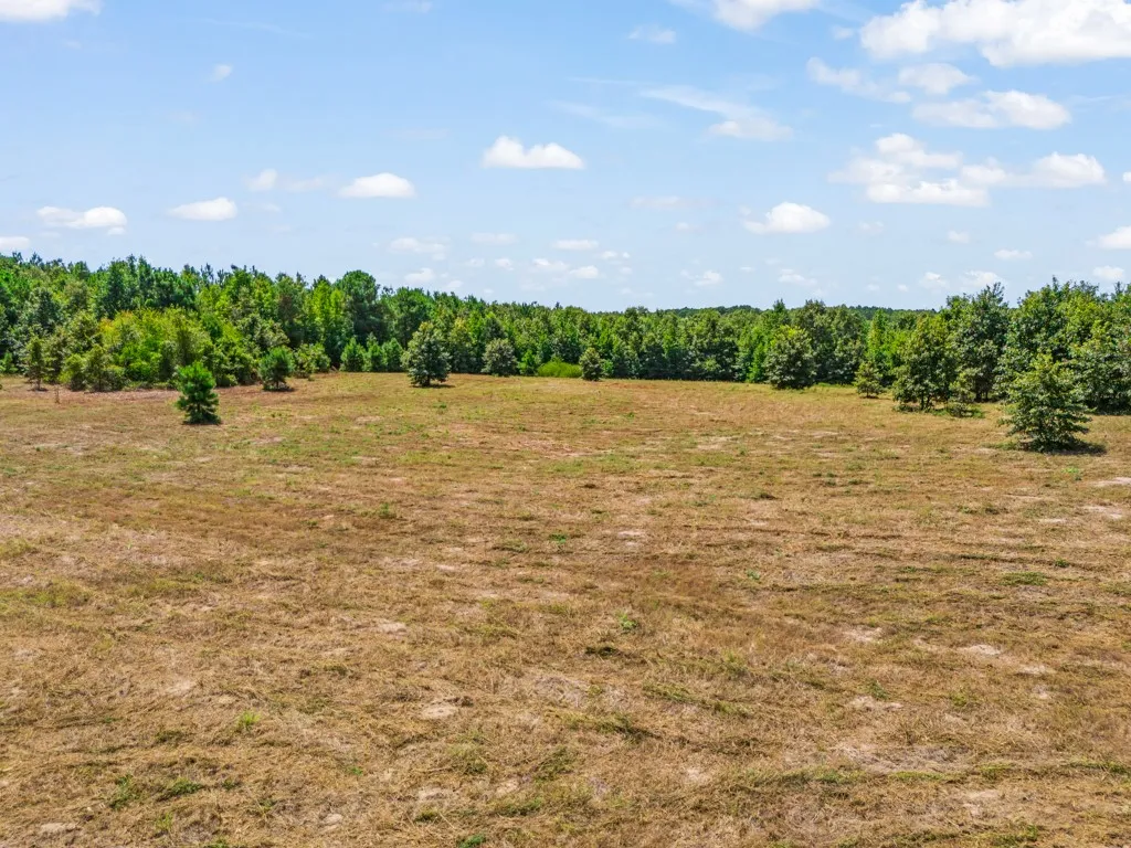 Expansive open field bordered by mature trees