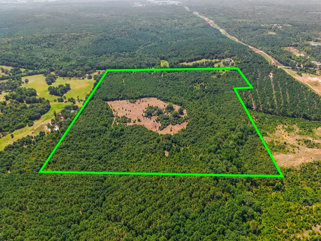 Expansive acreage featuring dense tree coverage and open clearings