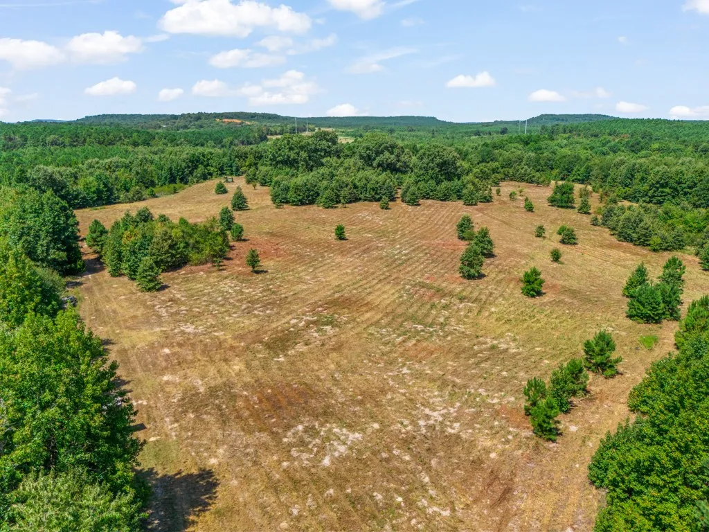Expansive property featuring a large open field, surrounded by extensive mature tree coverage, with distant rolling hills visible