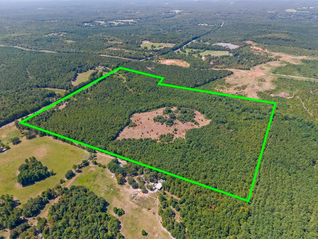 Expansive wooded lot featuring mature trees and a cleared central area