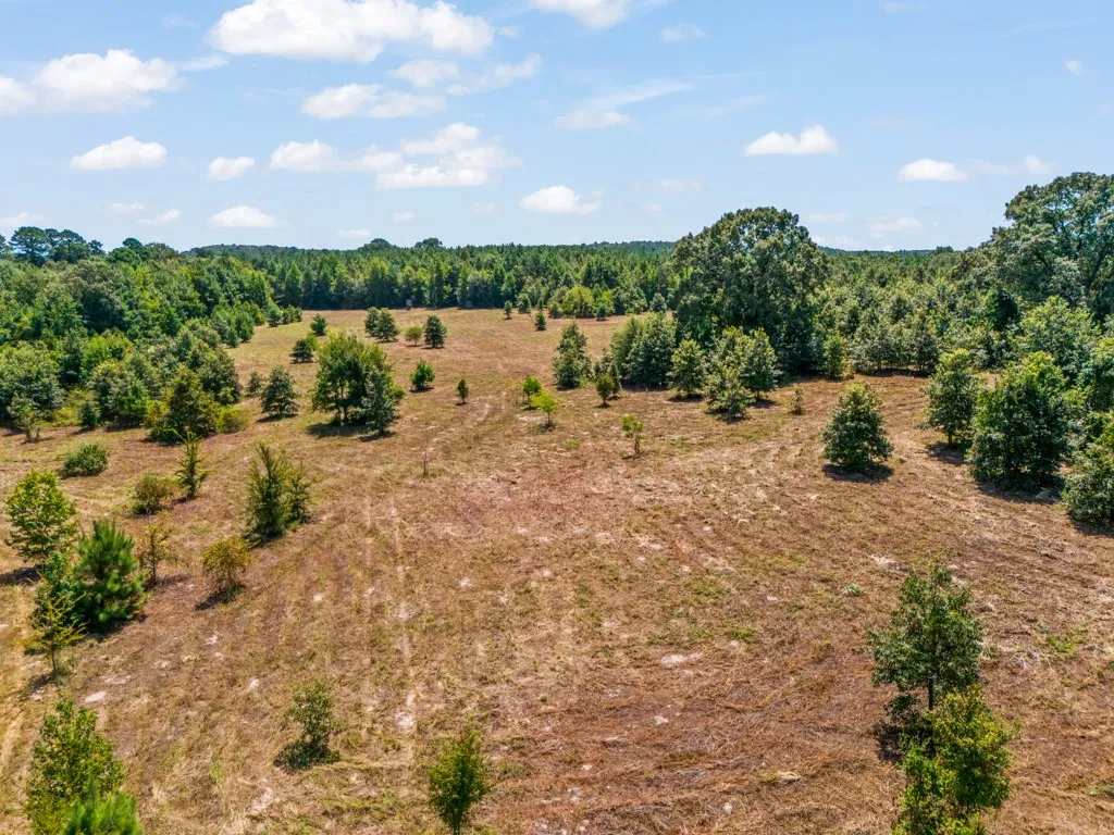 Ranch For Sale in Upshur County , 12843 FM 2796, Pittsburg, Texas 75686, 0, 0, Garage spaces, 0 Sqft, built in 0, Price $778,290, mls#21366360, Real Estate Agent in Pittsburg, Homes For Sale in Upshur county, Homes For Sale in Pittsburg, Realtor in Pittsburg Texas, Real Estate Brokerage Independent Realty Texas, Luminita Cordes Realtor