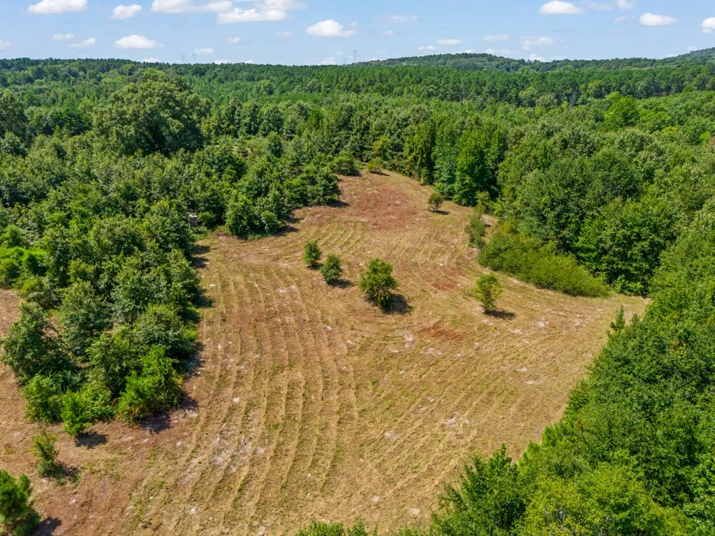 Expansive cleared land featuring cultivated ground and surrounding mature trees
