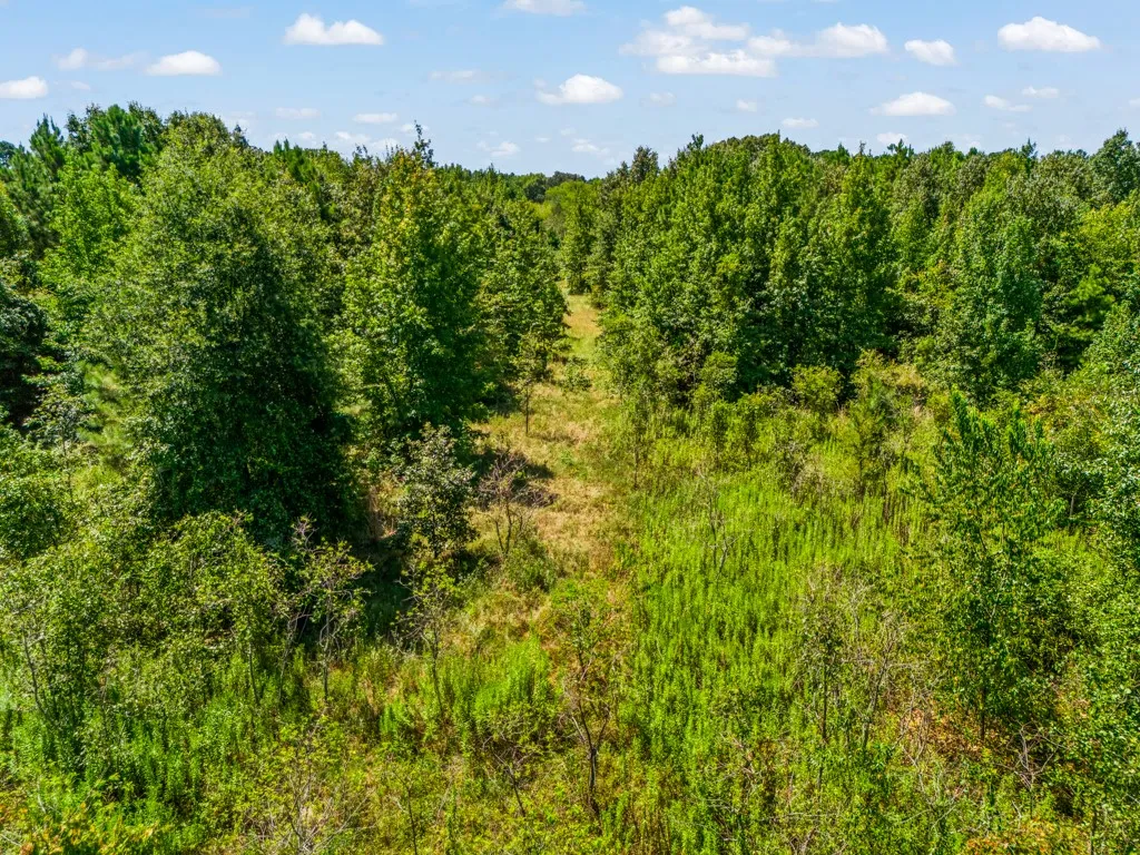 Expansive natural landscaping featuring dense trees and varied greenery