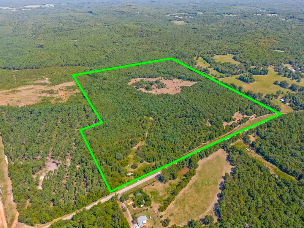 Expansive acreage featuring dense tree cover, open clearings, and direct road frontage