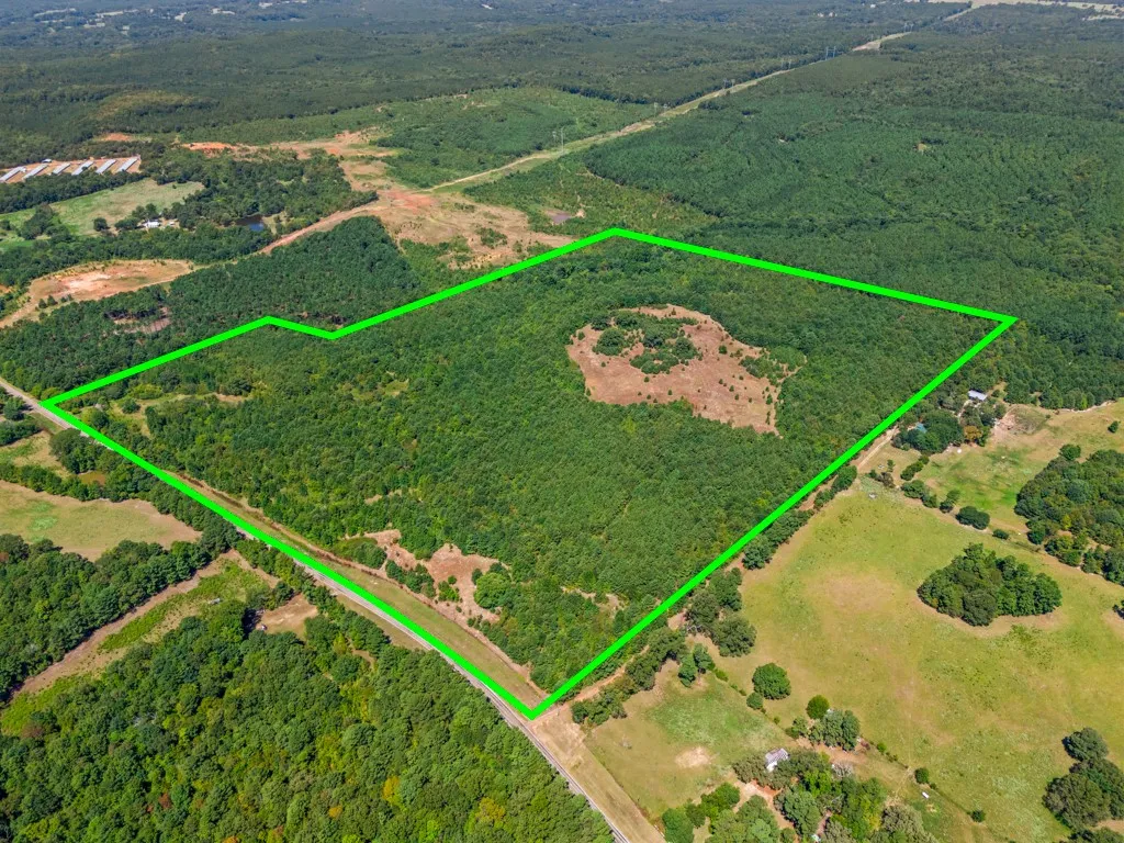 Expansive wooded acreage with a defined boundary, featuring dense tree coverage and cleared areas
