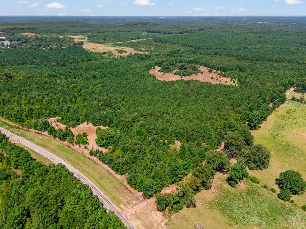 Expansive wooded acreage featuring diverse tree coverage and cleared areas