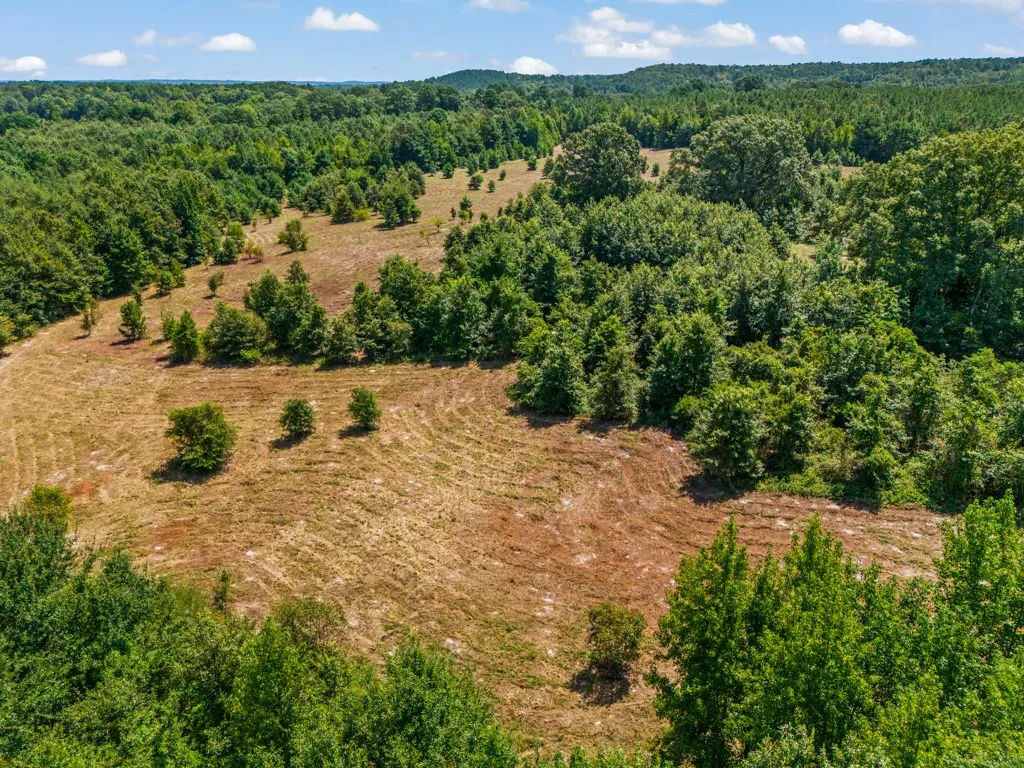 Expansive land offering diverse topography, featuring cleared areas and wooded sections