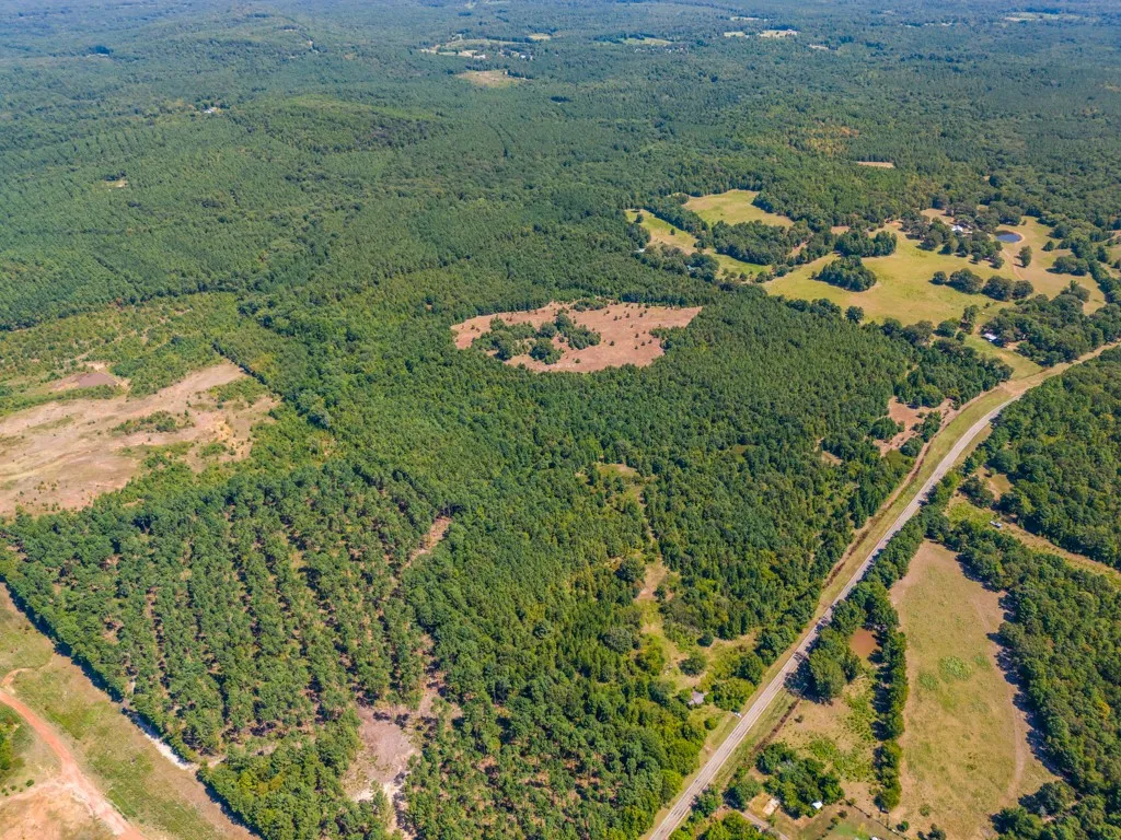 Extensive wooded acreage featuring a paved road frontage, partially cleared land, open fields, and natural water features