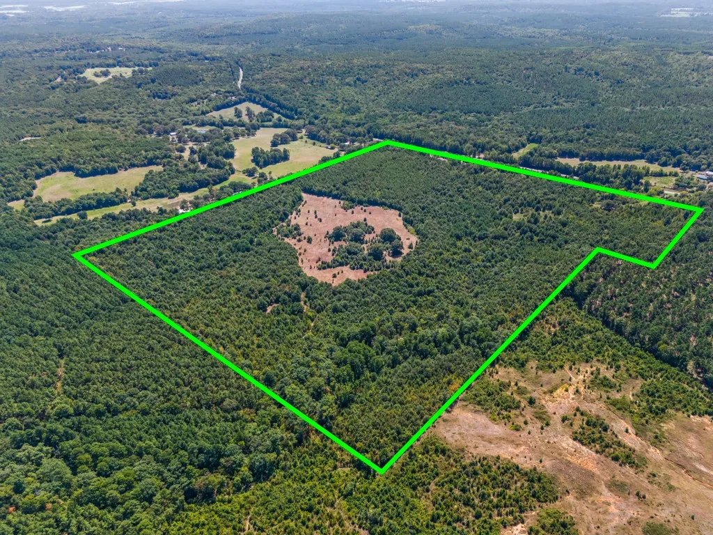 Expansive acreage featuring dense tree coverage and a central cleared area