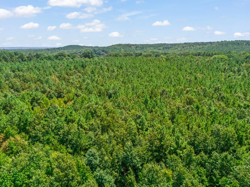 Ranch For Sale in Upshur County , 12843 FM 2796, Pittsburg, Texas 75686, 0, 0, Garage spaces, 0 Sqft, built in 0, Price $778,290, mls#21366360, Real Estate Agent in Pittsburg, Homes For Sale in Upshur county, Homes For Sale in Pittsburg, Realtor in Pittsburg Texas, Real Estate Brokerage Independent Realty Texas, Luminita Cordes Realtor