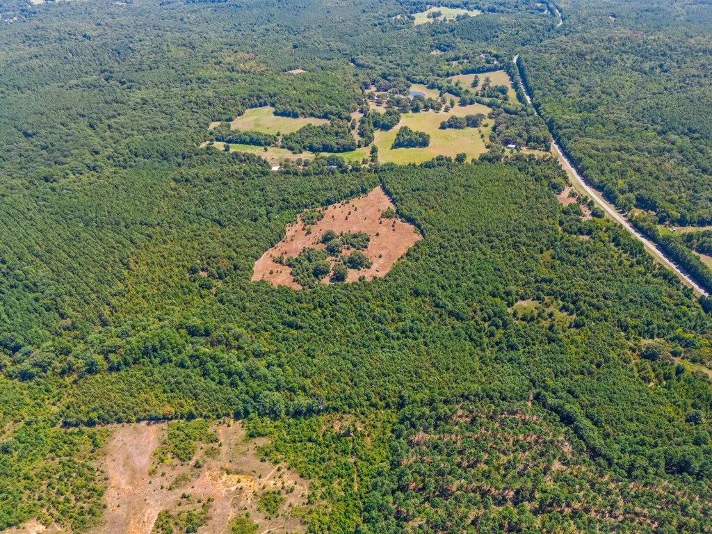 Expansive treed acreage with clearings, featuring a prominent roadway